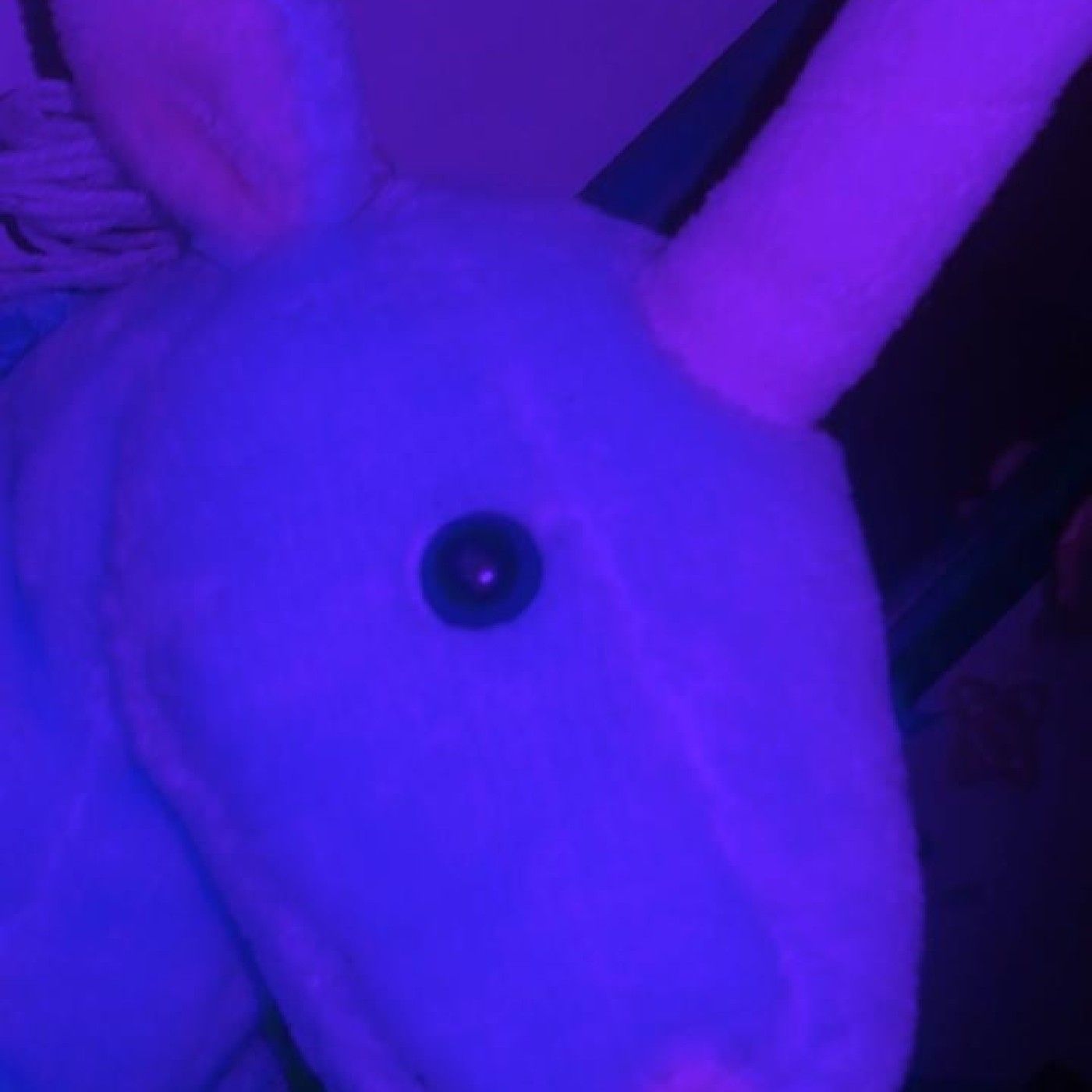 El podcast de wendy miranda ETS