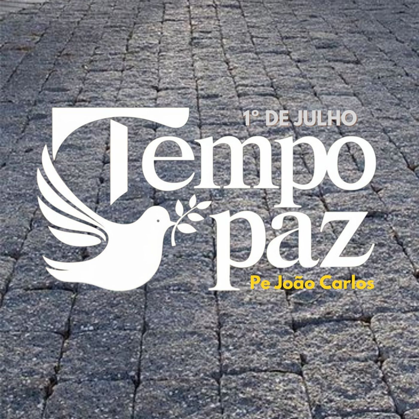 Pe. João Carlos - Meditação da Palavra