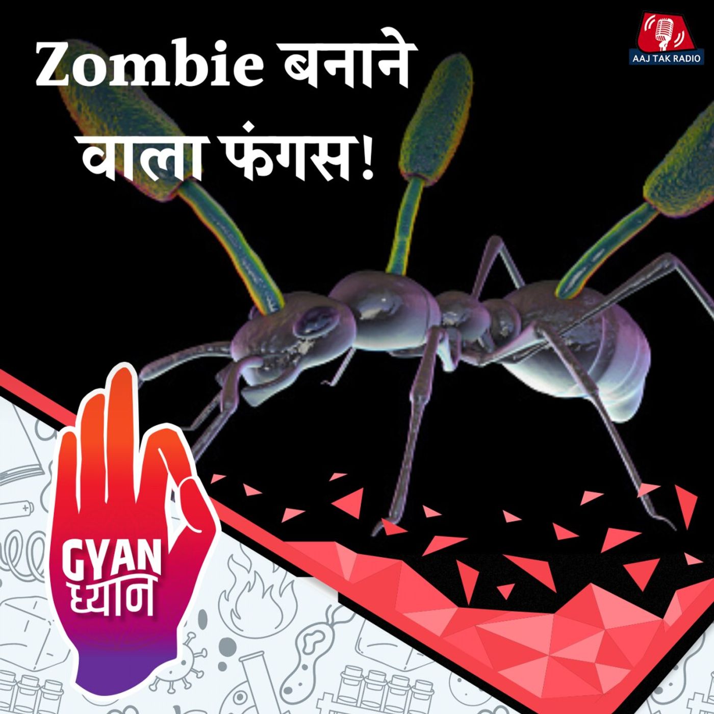 Cordyceps फंगस क्या है जो कीड़ों को Zombie बना देता है?: ज्ञान ध्यान, Ep 895