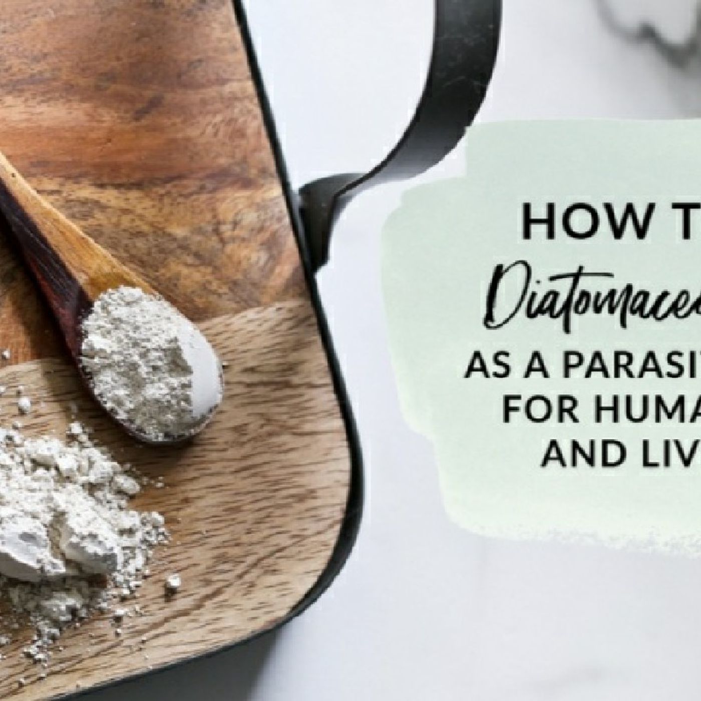 Eden\'s Living TV~podcasts