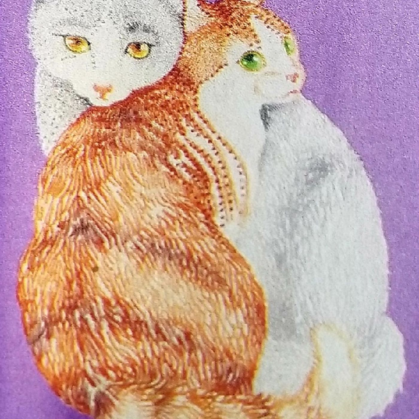 Besos de Terciopelo - El fantástico mundo de los gatos - Conduce: Diosma Patricia Davis * Argentina por RAO/México. episode artwork