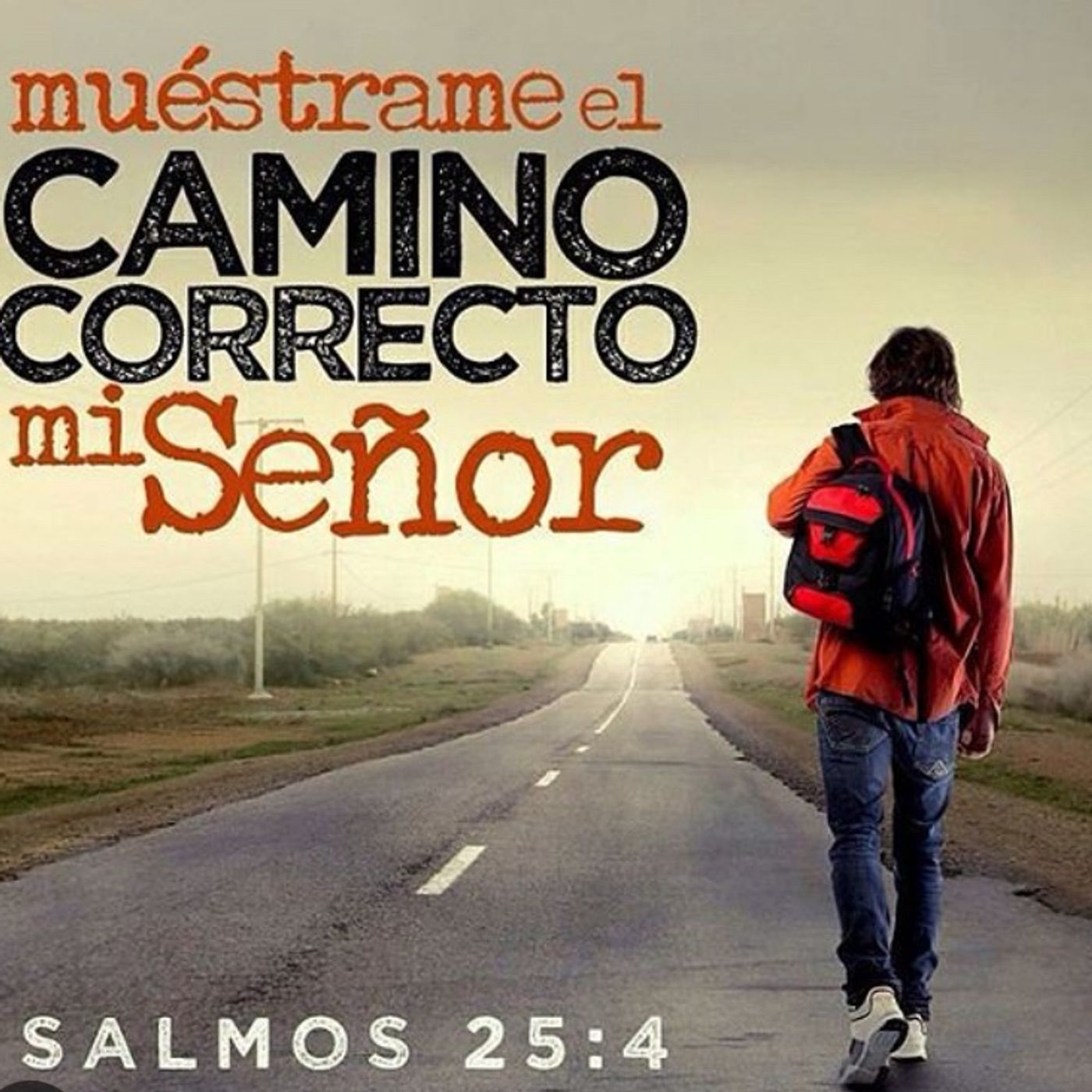 Su delicia