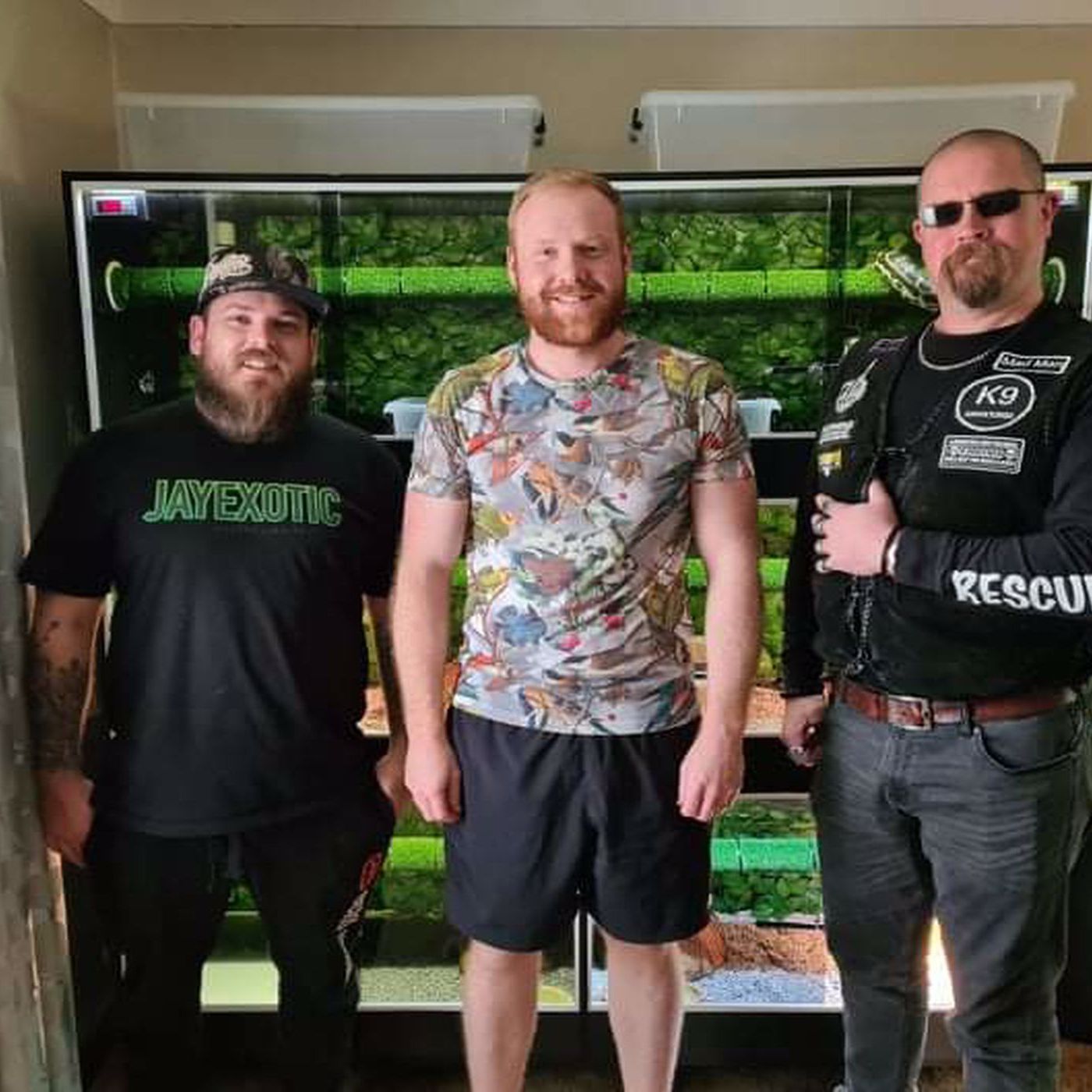 Reptile Chat WA