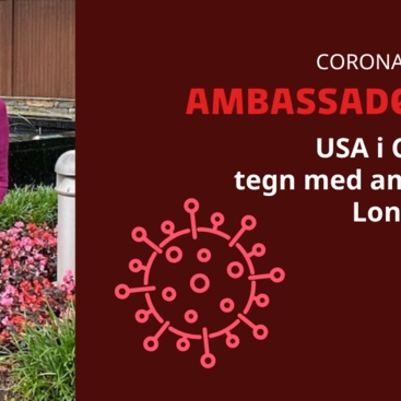 Ambassadørerne