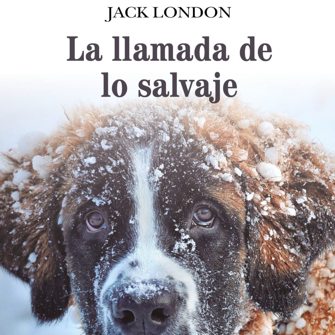 El Sótano de Radio Belgrado