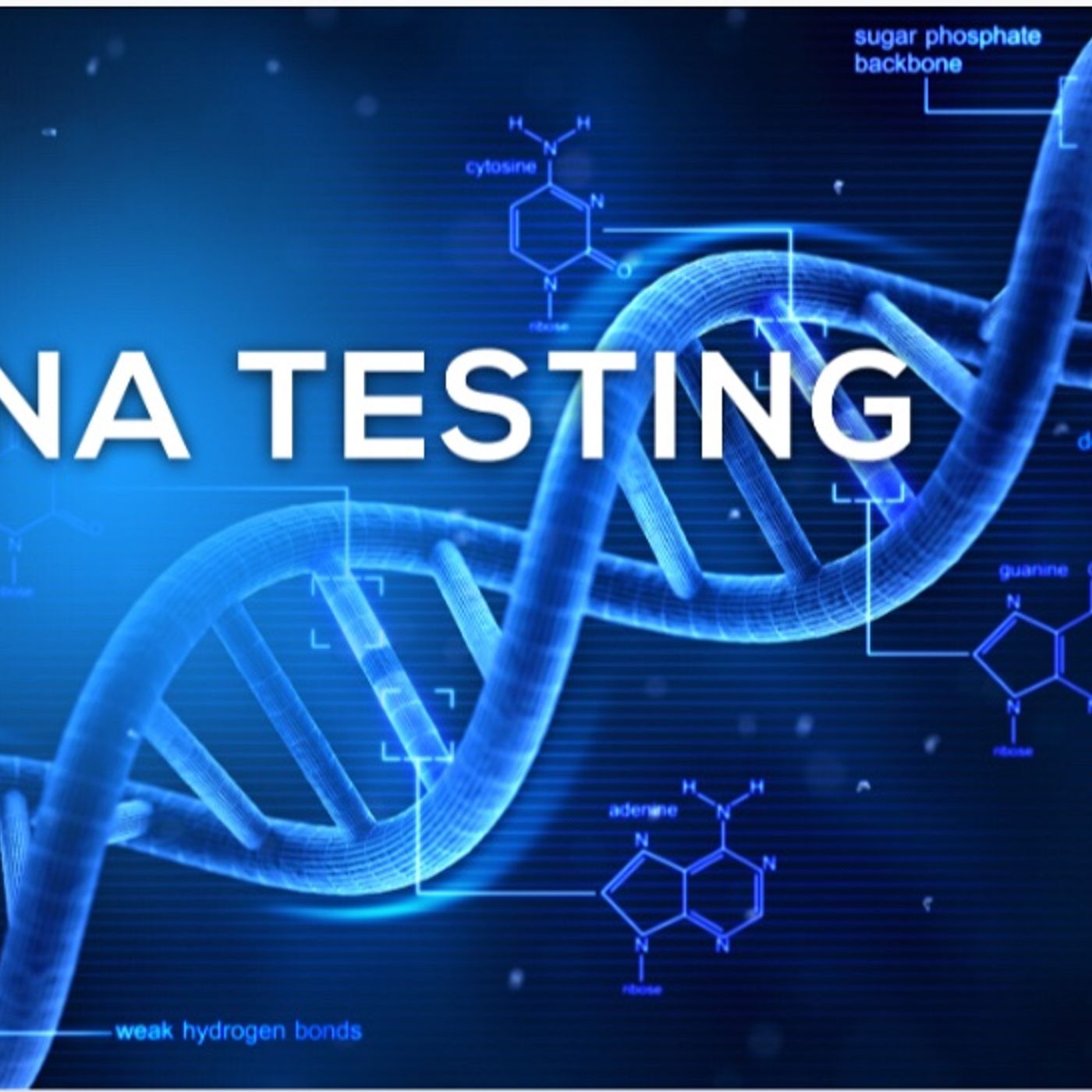DNA testing episode artwork