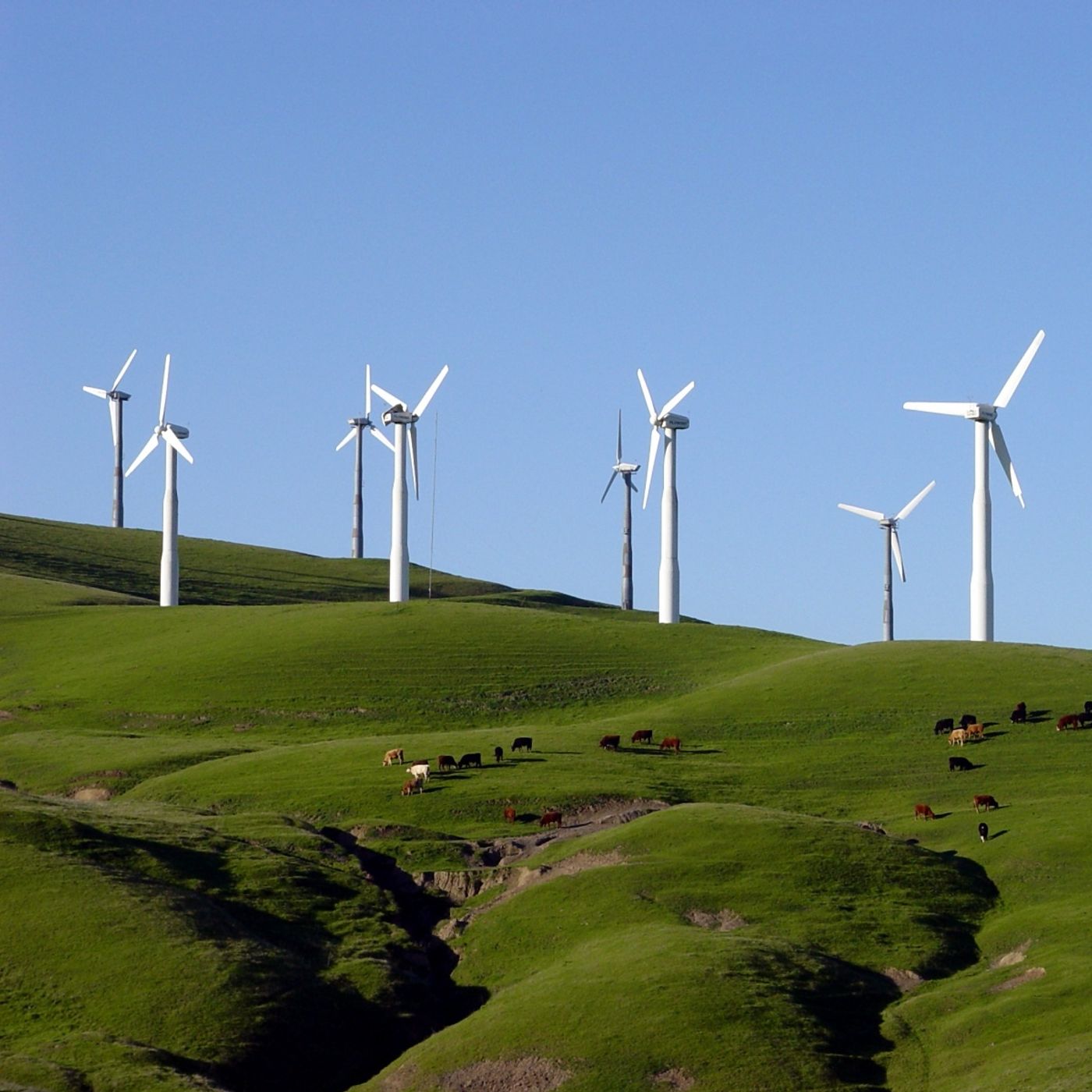 Chad Martin, renewable energy episode artwork