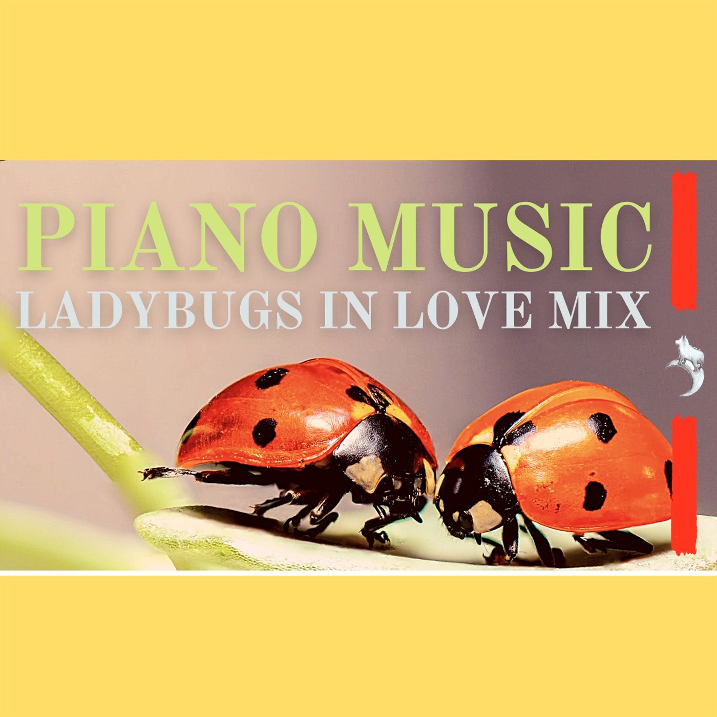 PIANO CLASSIC MUSIC Mix for stress relief #relaxing #love #peaceful #sleep episode artwork