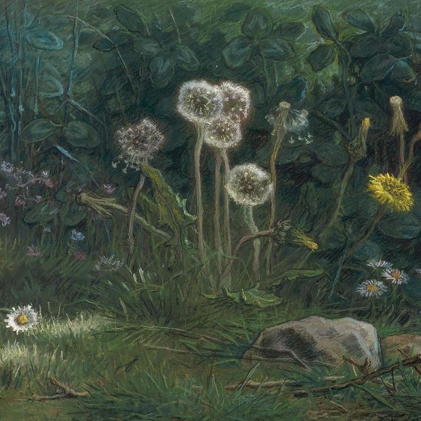 Lido Pacciardi: Il soffione