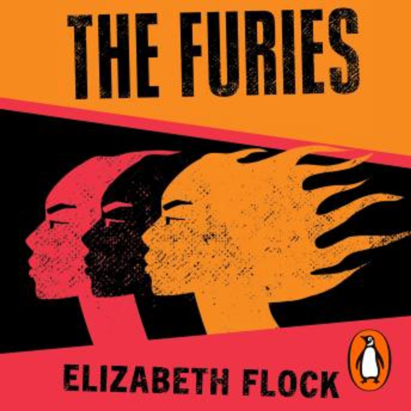 The Furies: Three Women and Their Violent Fight for Justice by Elizabeth Flock episode artwork
