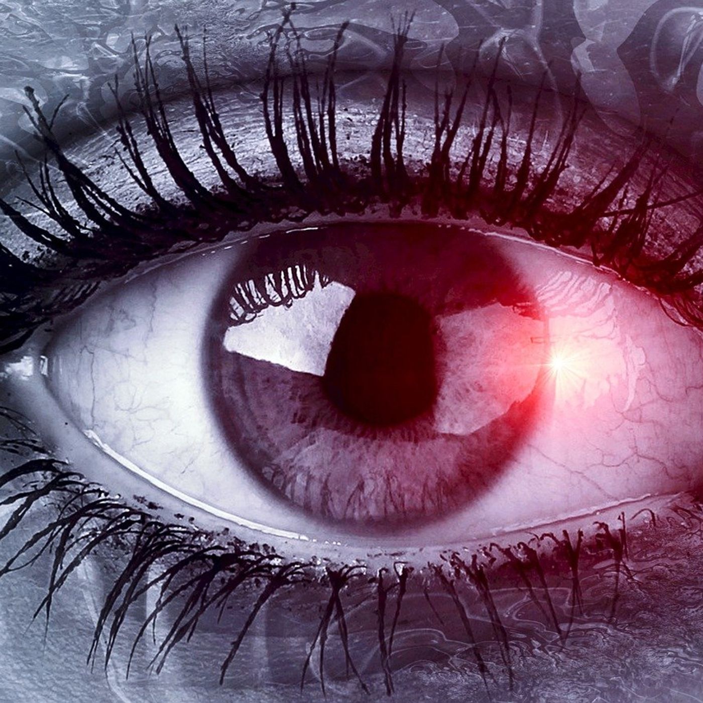 its a madd madd crazy world