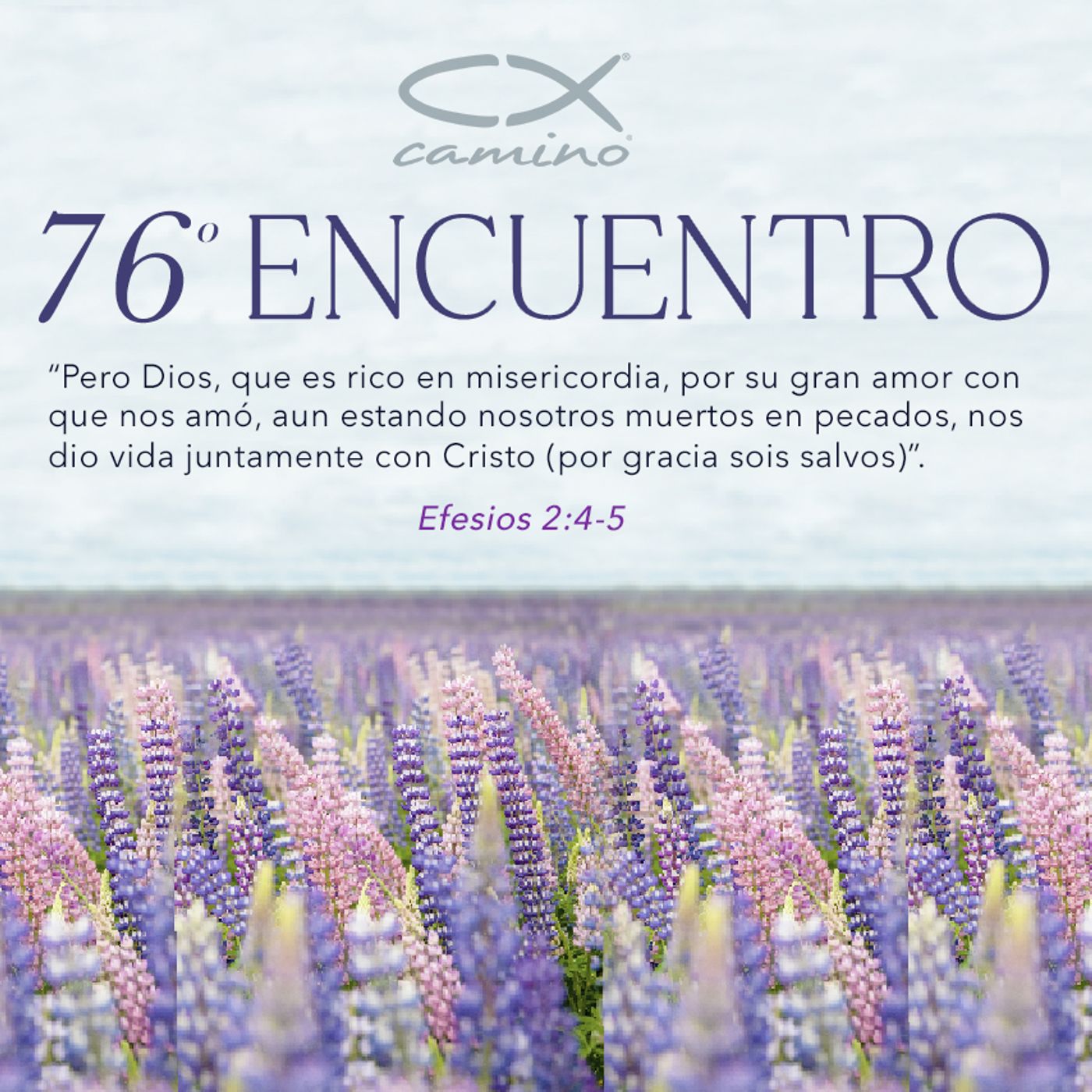 Oración 17 de noviembre (76 Encuentro) episode artwork