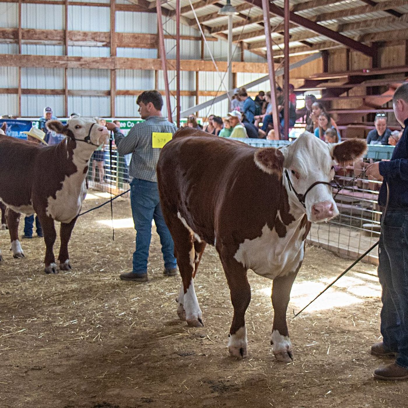 Lee County 4-H’s New Family Orientation set for March 28 episode artwork