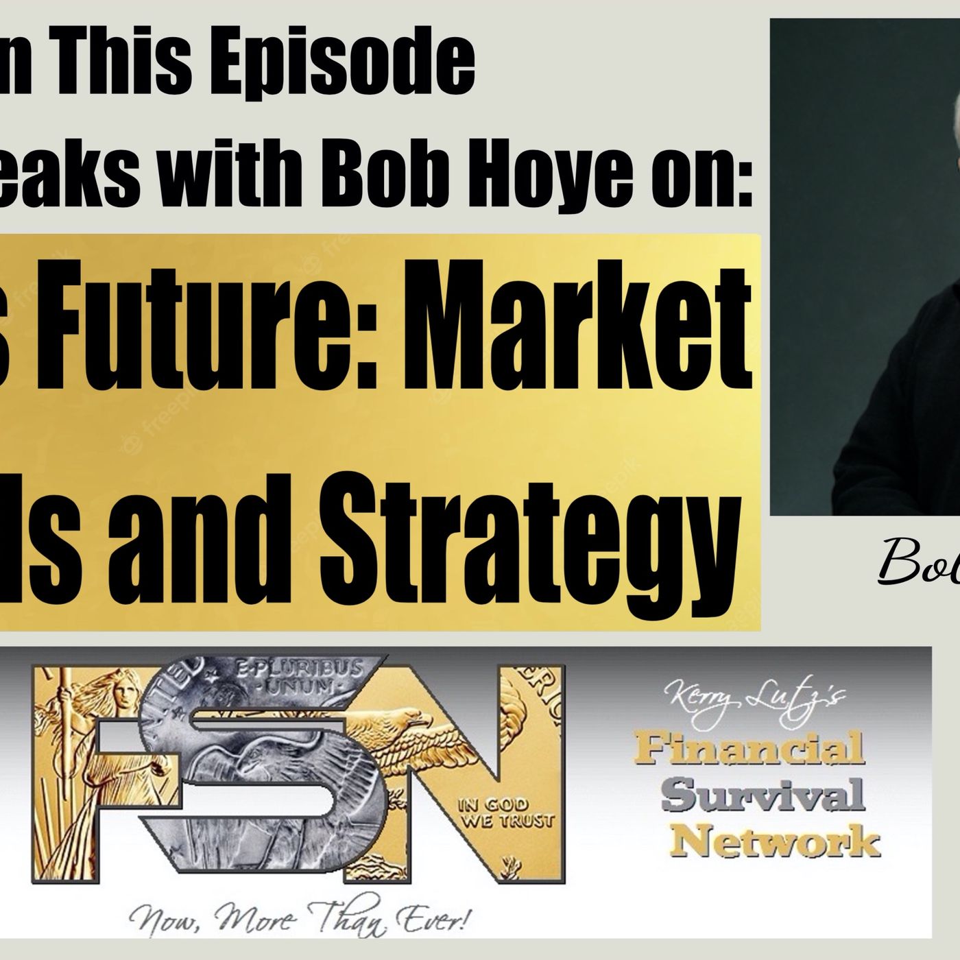 cover of episode Gold's Future: Market Trends and Strategy - Bob Hoye #6168