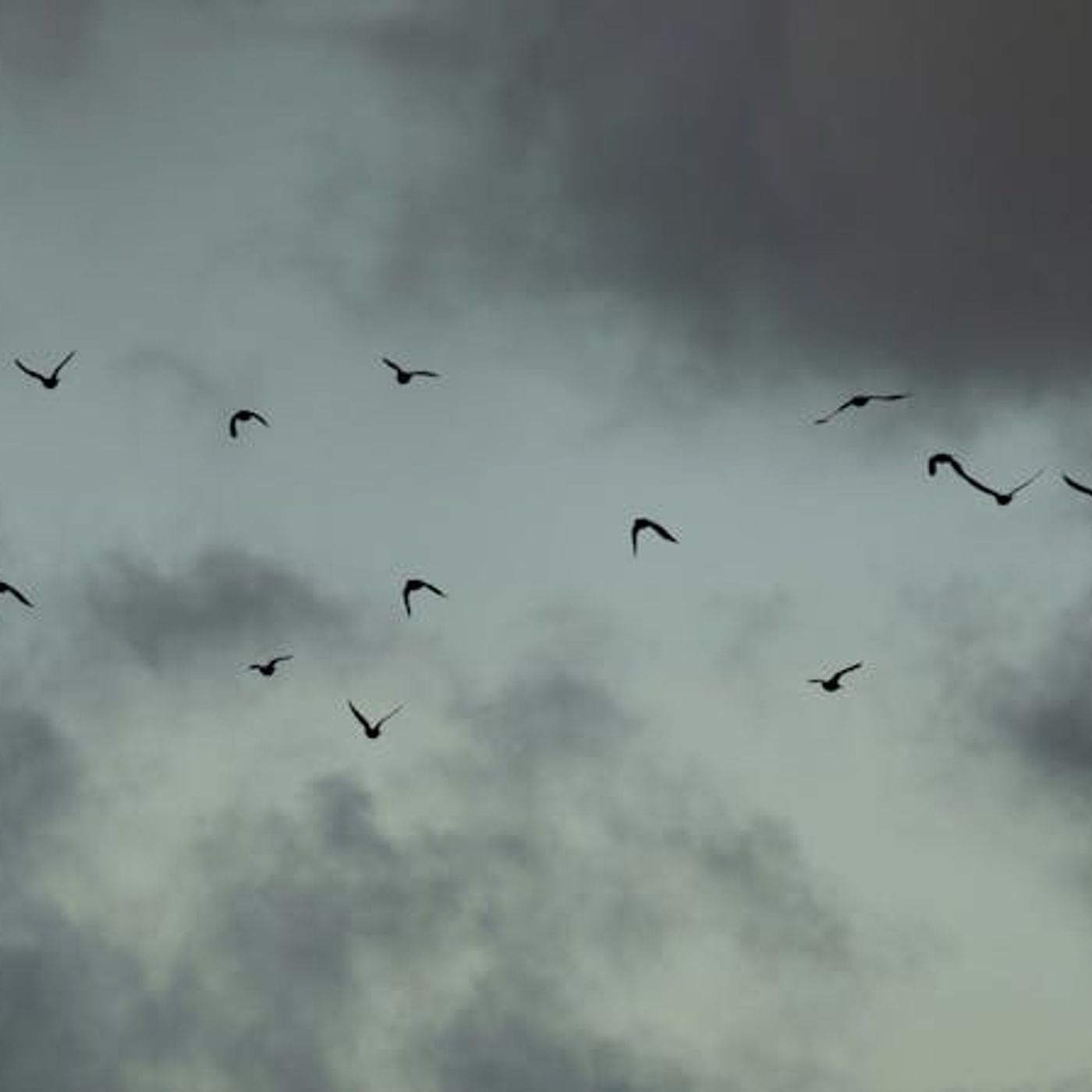 Why Pray for Protection When Suffering Keeps Coming?