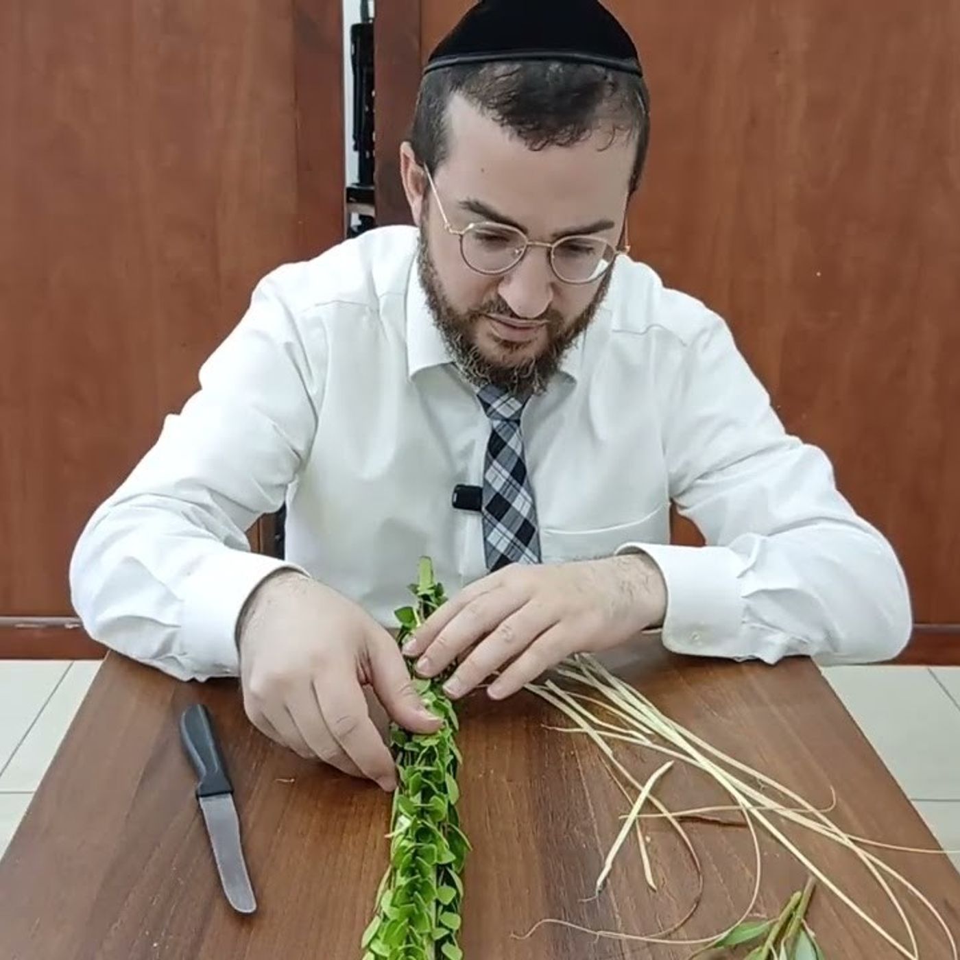 כך תאגדו את ארבעת המינים שלכם בצורה מקצועית ללא גרימת נזק למינים | מדריך לאגידת הלולב על פי האריז"ל episode artwork