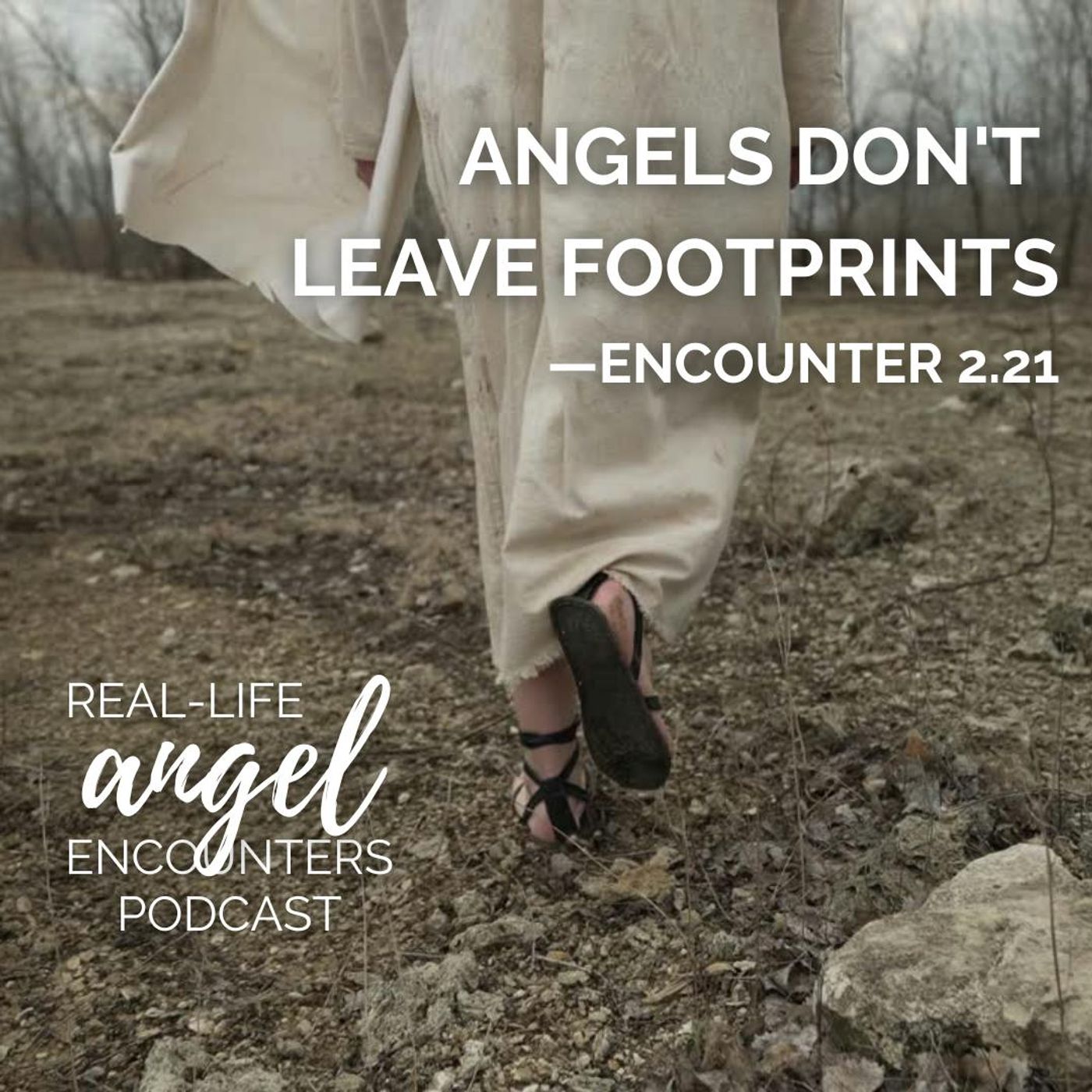 2.21 Angels Don't Leave Footprints episode artwork