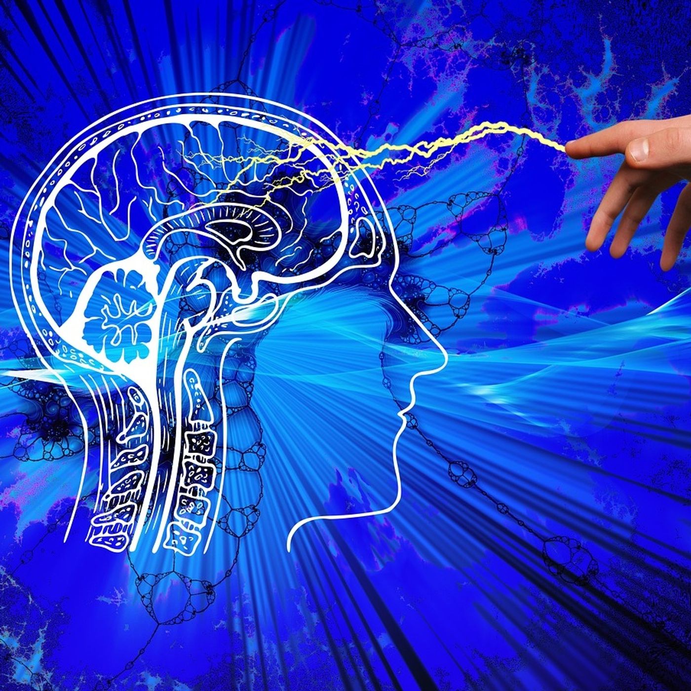 Unleashing Your Potential