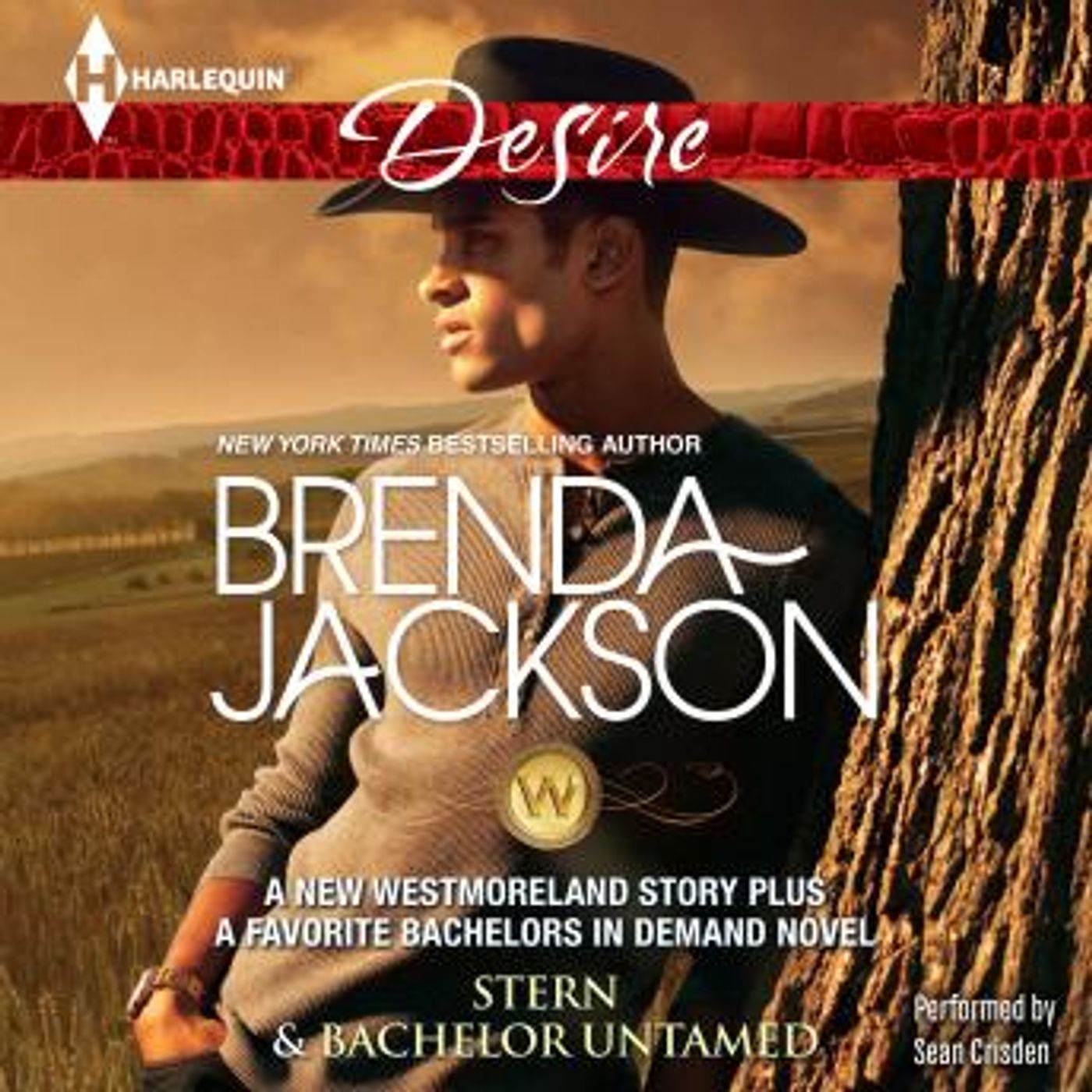 Find Best-Selling Full Audiobooks in Romance, Modern