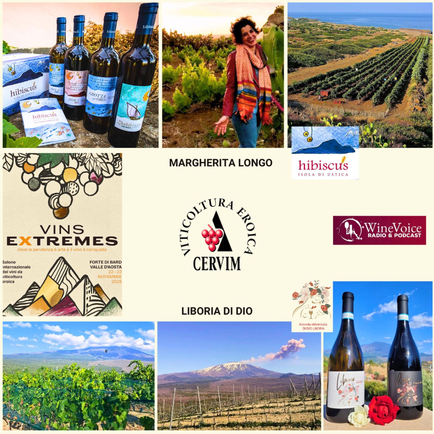 Le Terre del Vino: VINS EXTREMES - La Sicilia eroica al femminile: l'isola di Ustica e l'Etna di Bronte episode artwork