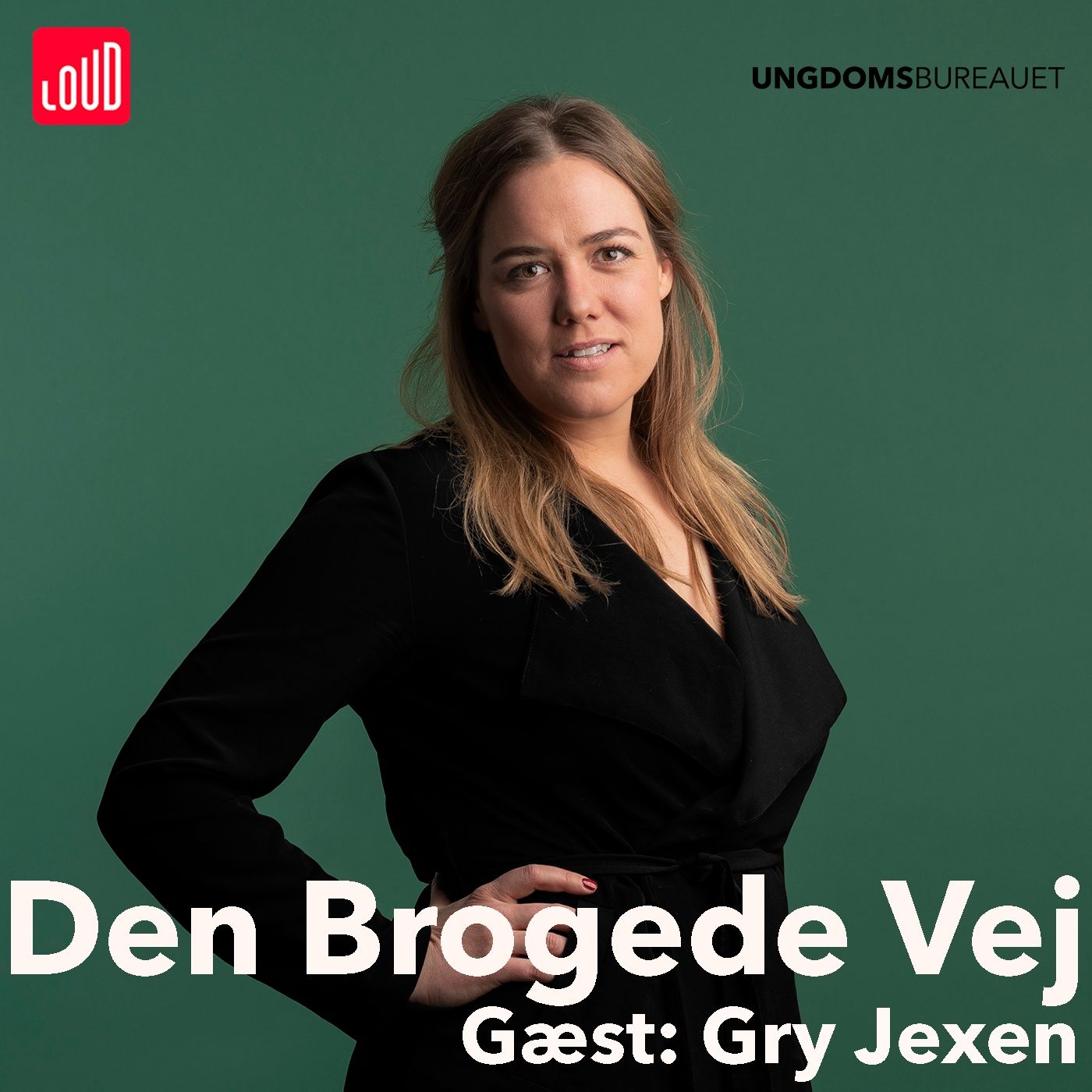 Den Brogede Vej