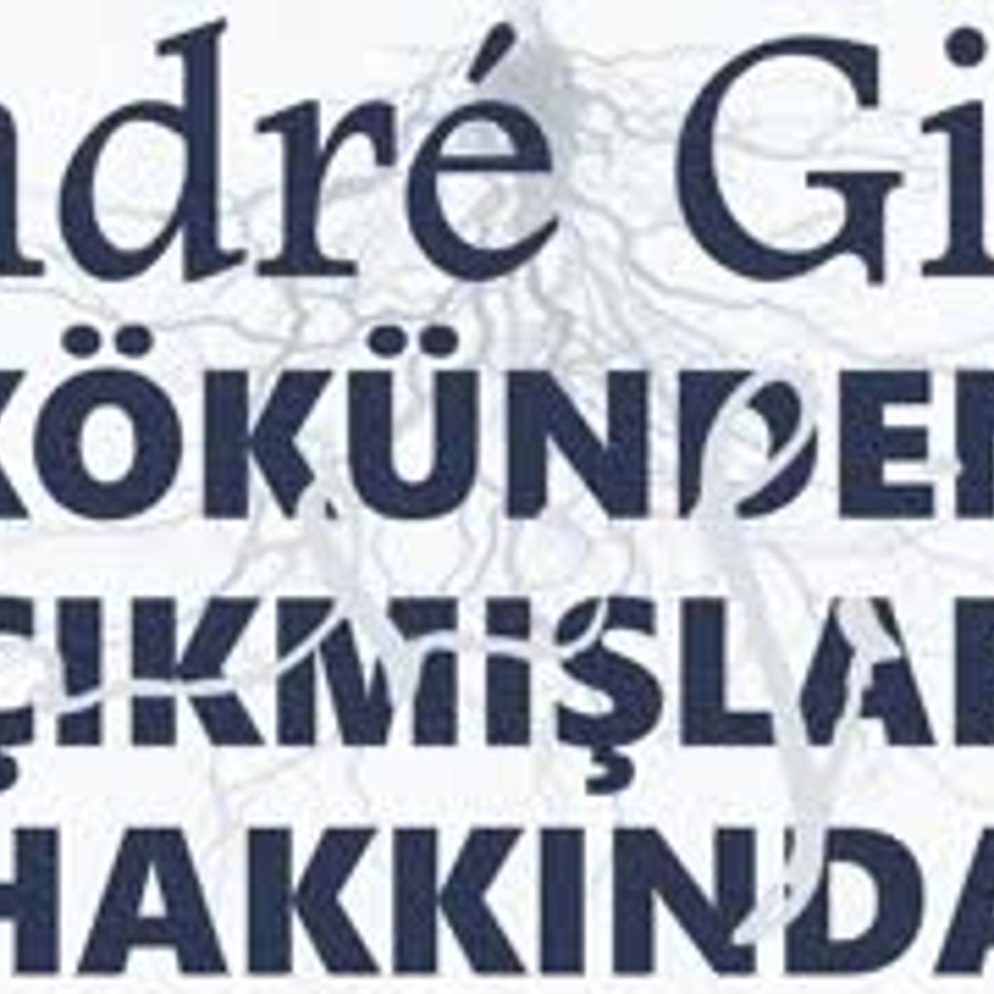 Kitap Okumaları