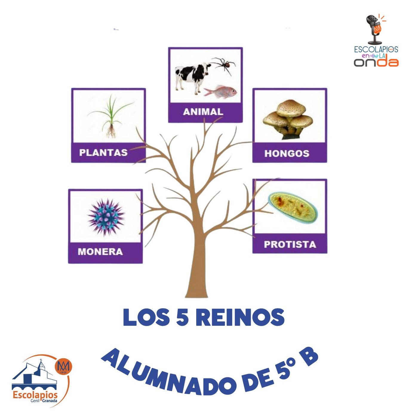 Proyectos en el aula | Escolapios en la onda