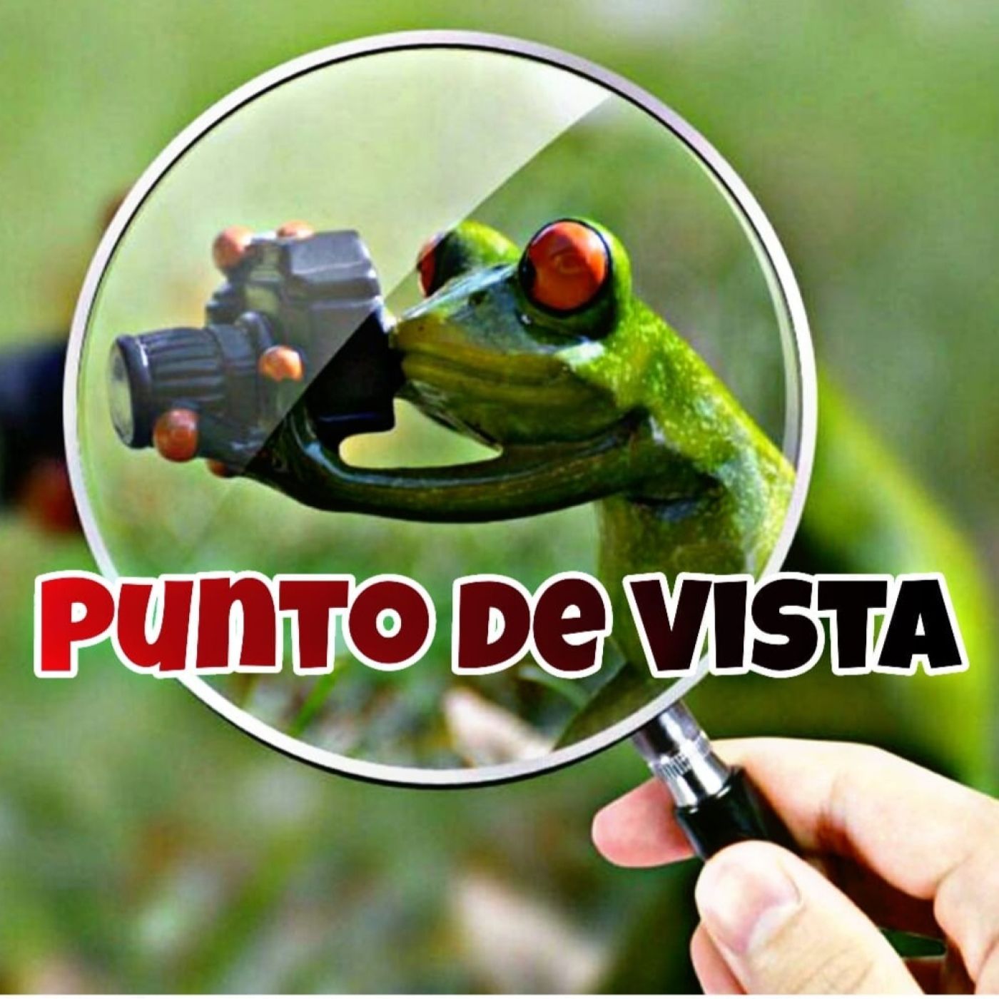 Punto de Vista
