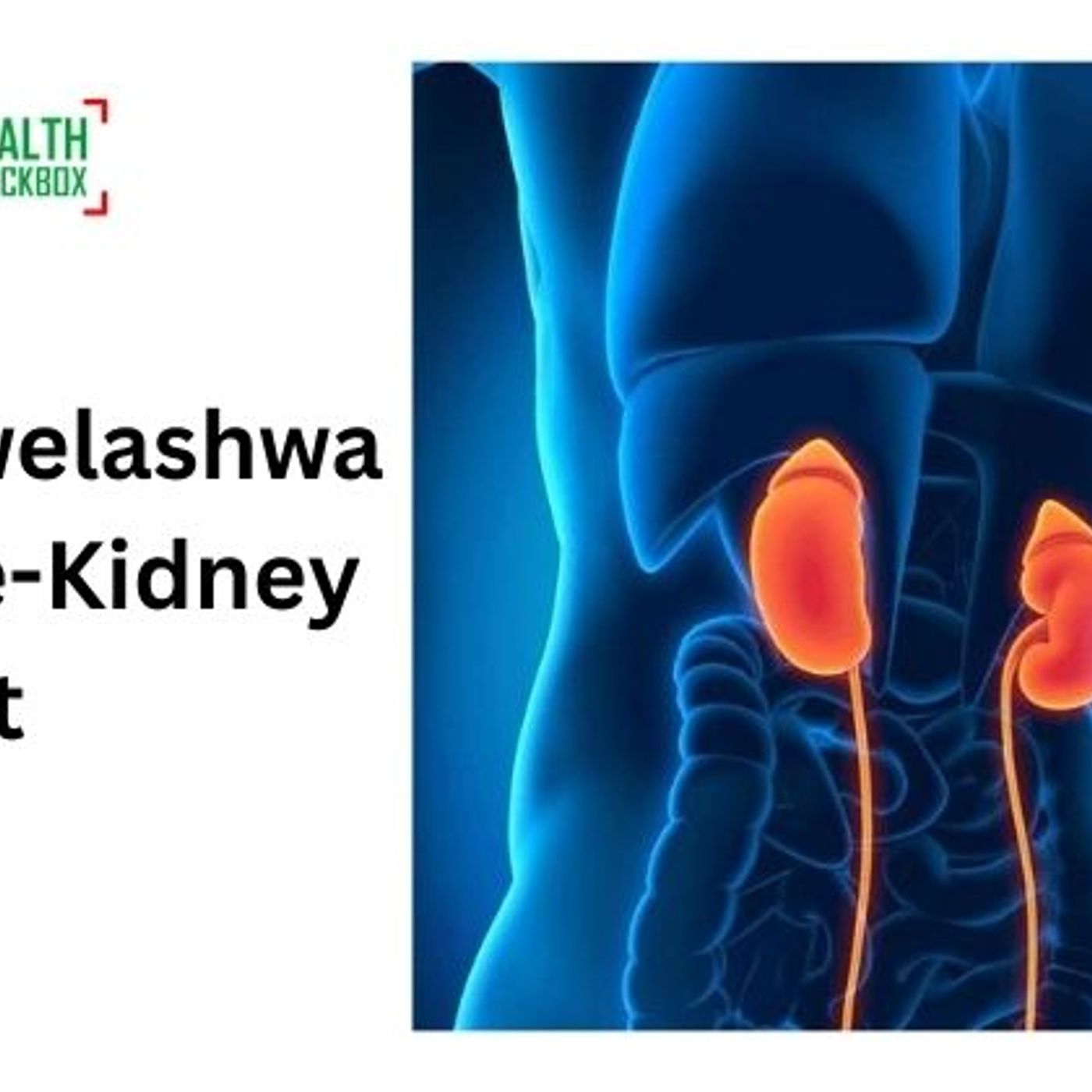 ZiyiniIzimpawu Zokwelashwa Kwe-Kidney Cyst? episode artwork