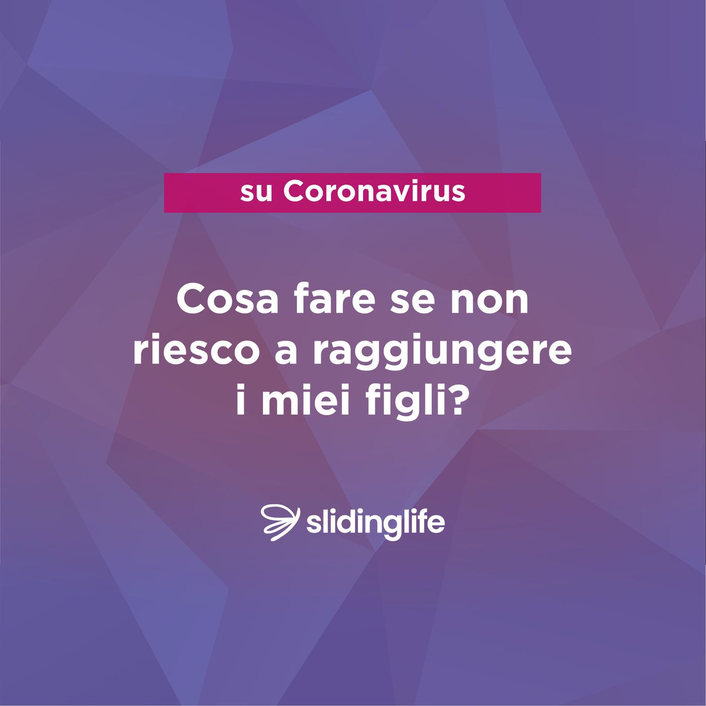 L\'Arena del divorzio