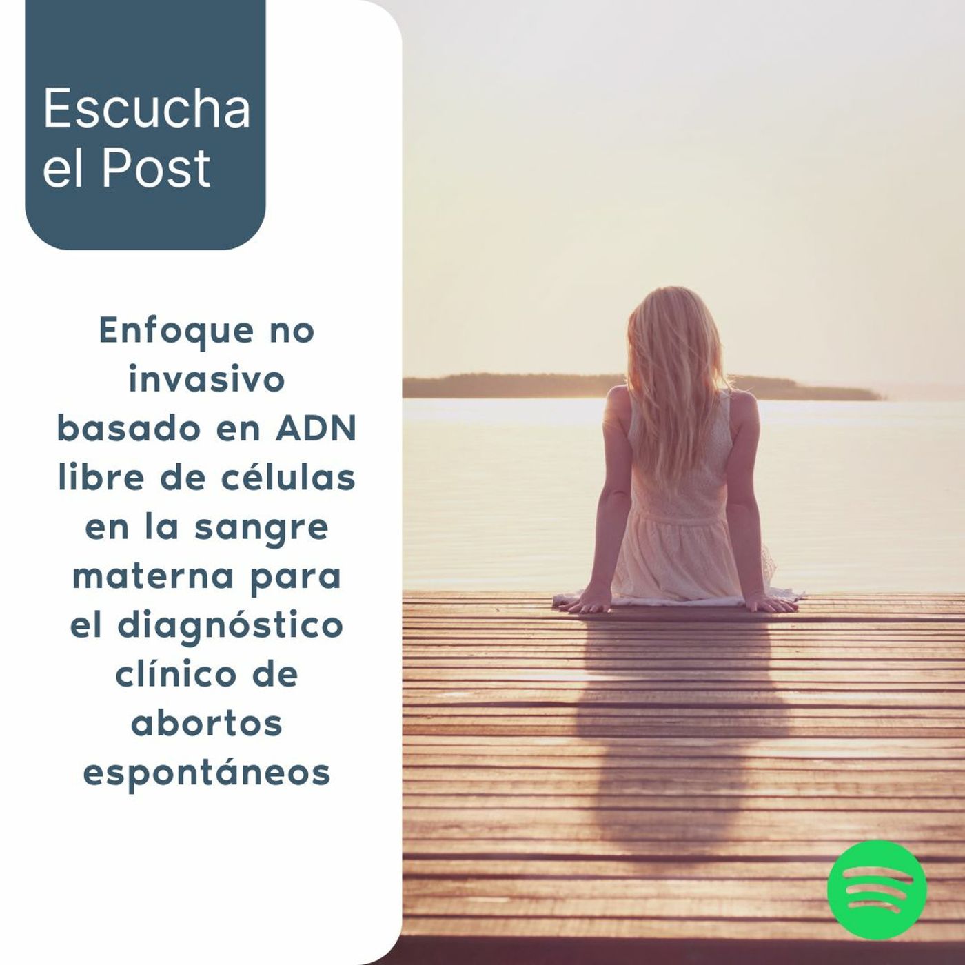 Nós tentantes, Projeto de Vida