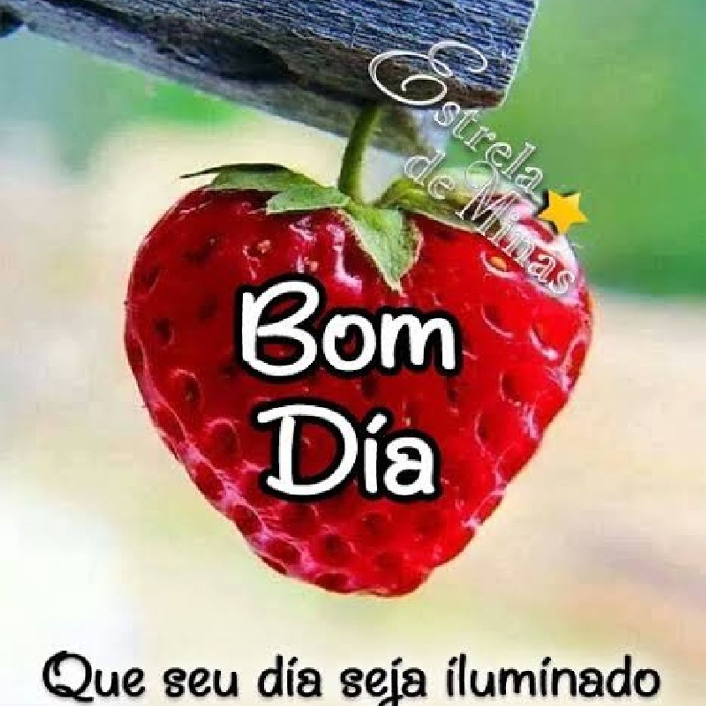Conversa ProntA episode artwork