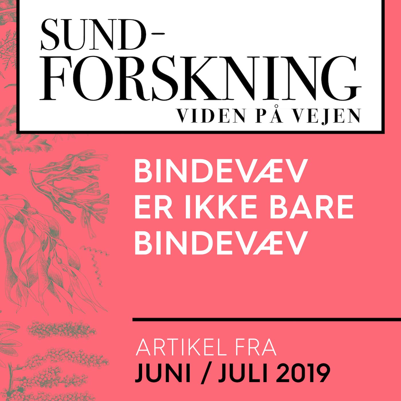 Bindevæv er ikke bare bindevæv