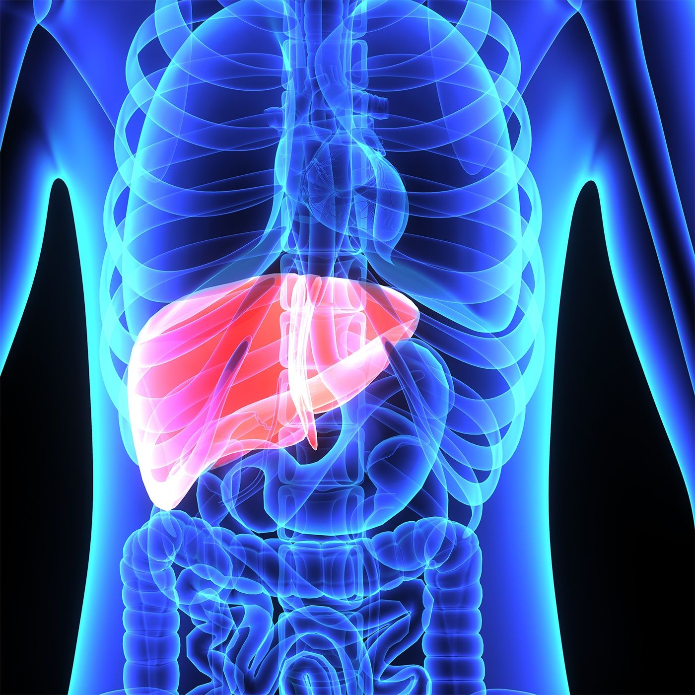 How to Love Your Liver episode artwork