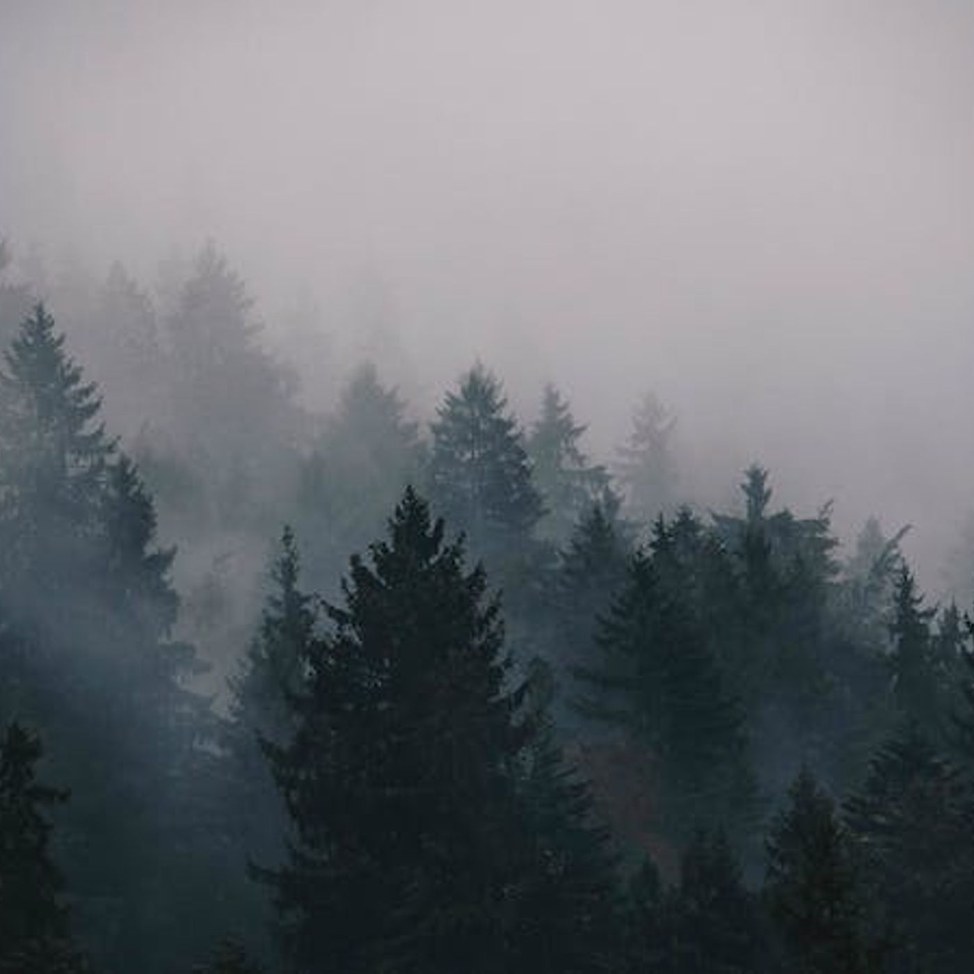 Unrelenting Sorrow and Relentless Joy episode artwork