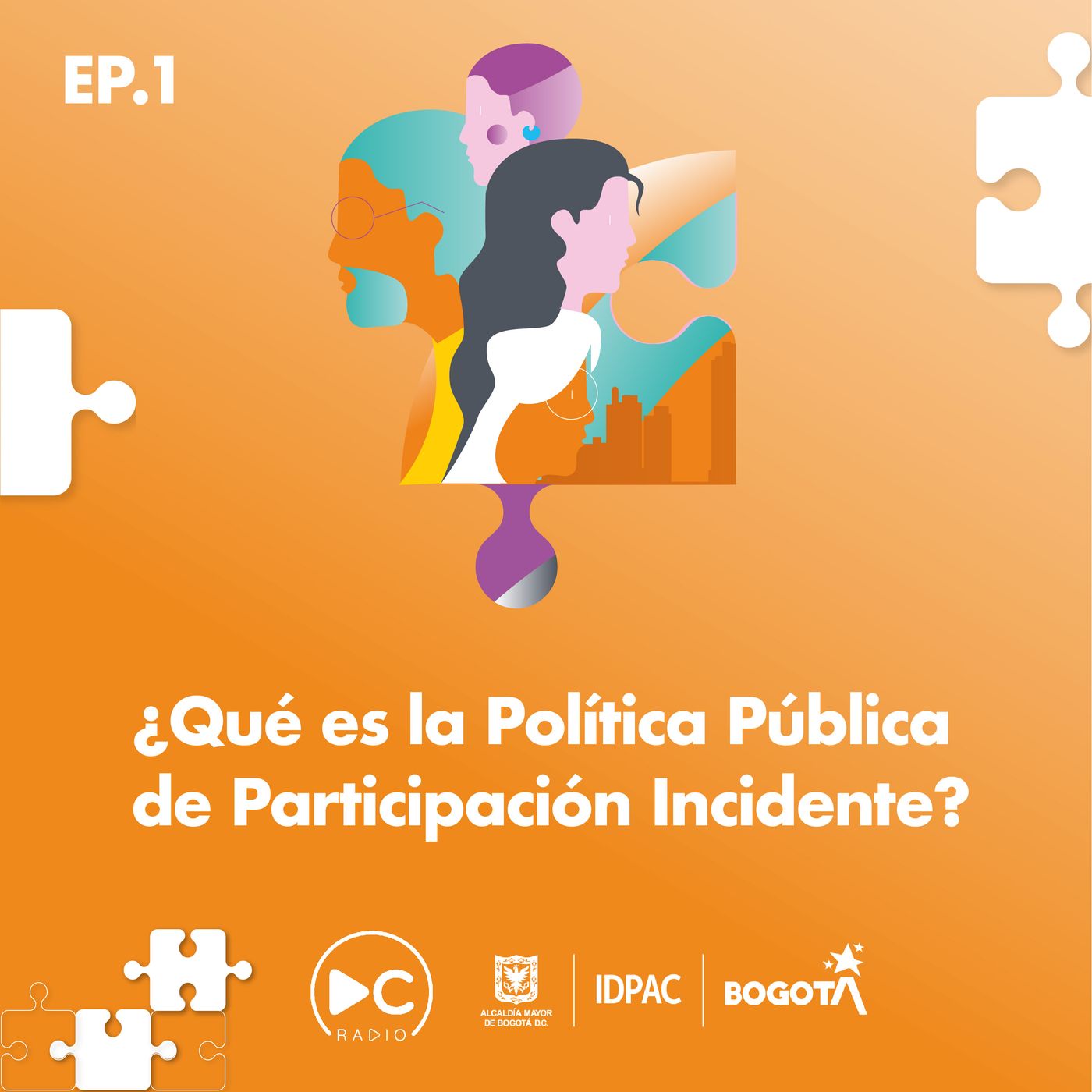 Objetivos y dimensiones de la Política Pública de participación incidente episode artwork