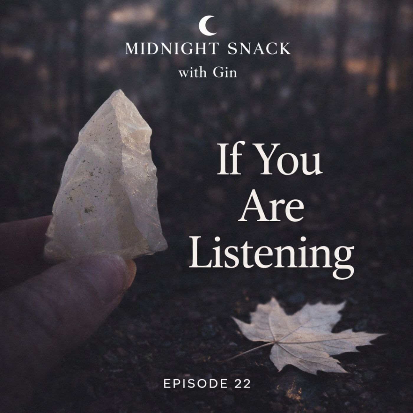 Midnight Snack E22: If You Are Listening episode artwork