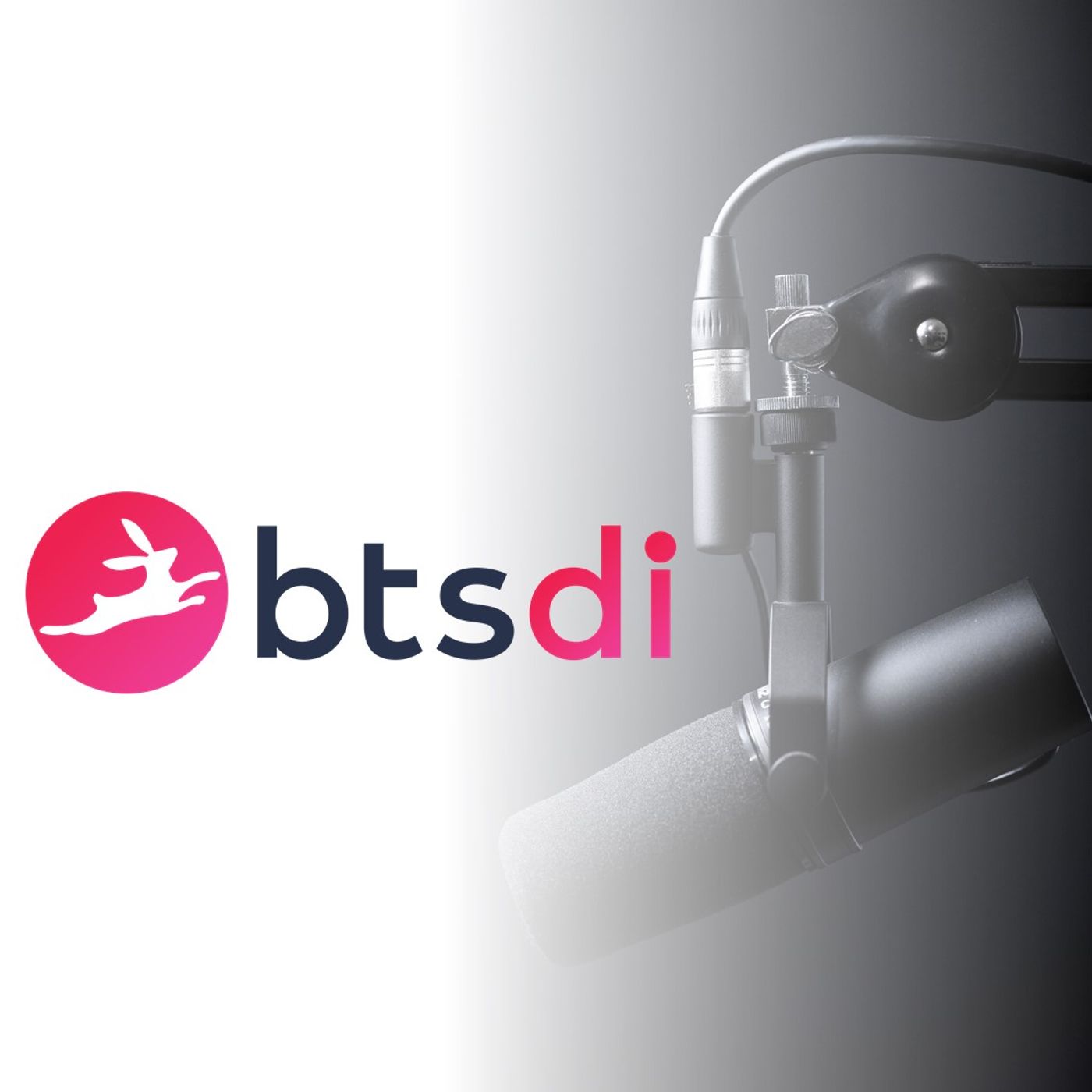 BTSDI podcast
