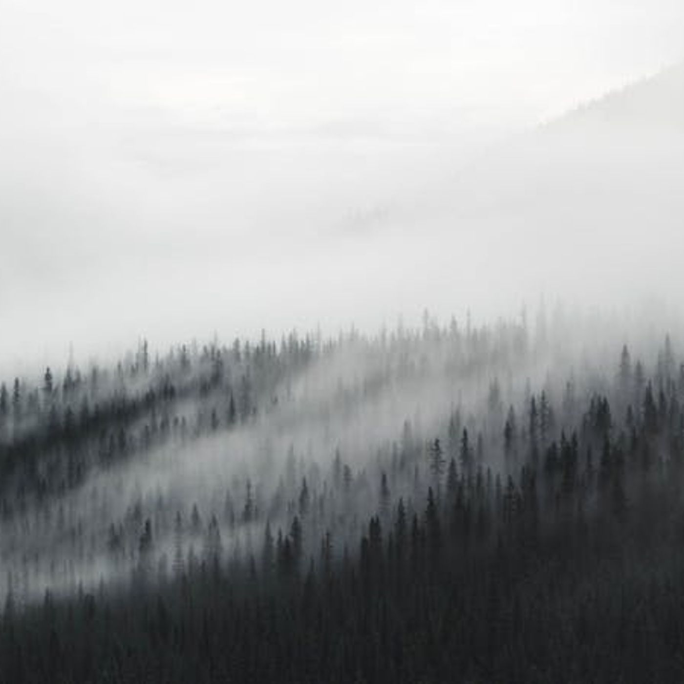 How Does ‘Willful Sinning’ Threaten My Salvation?