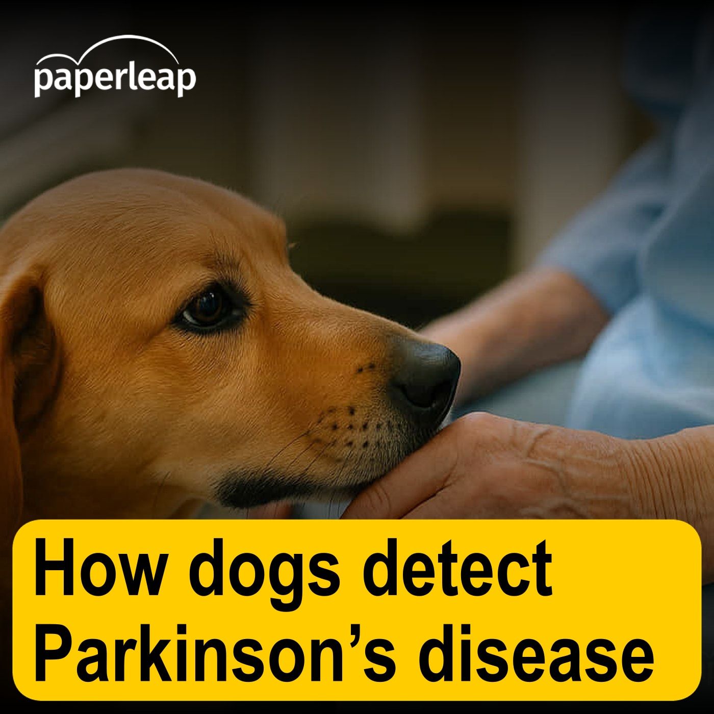 How dogs detect Parkinson’s disease