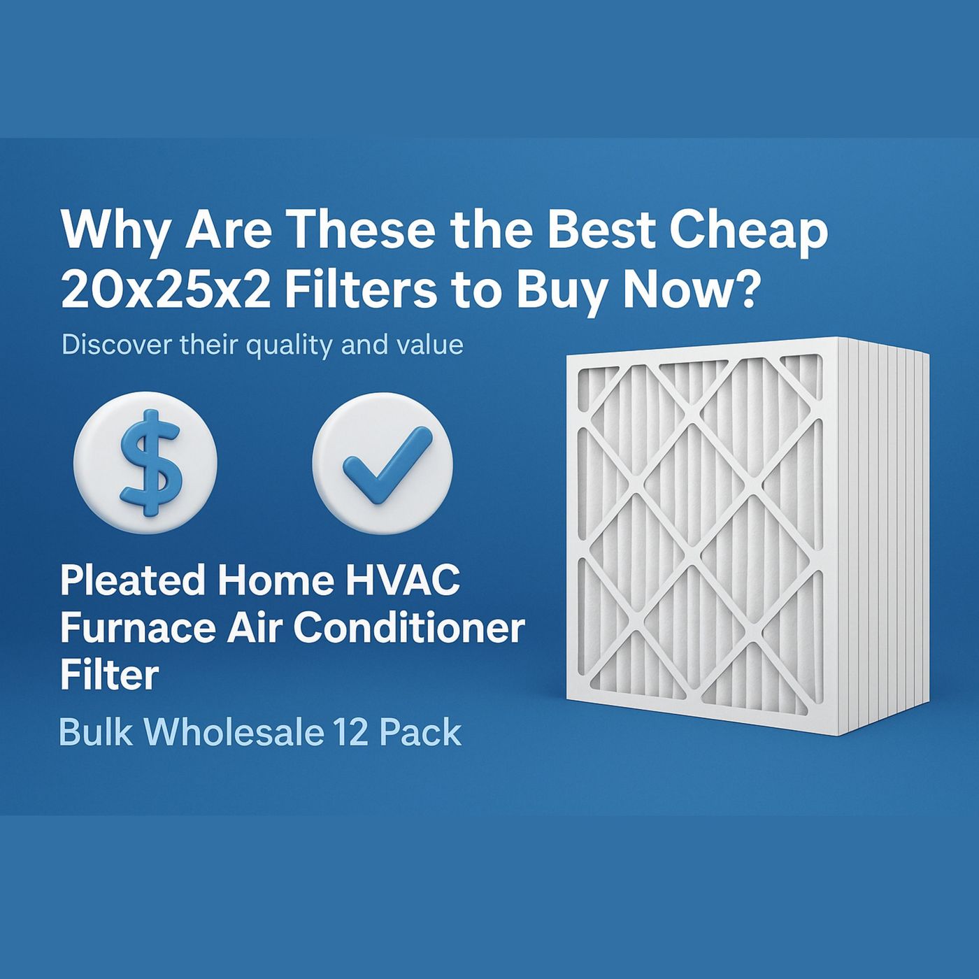 Why Are These the Best Cheap 20x25x2 Filters to Buy Now? | Pleated Home HVAC Furnace Air Conditioner Filter | Bulk Wholesale 12 Pack episode artwork