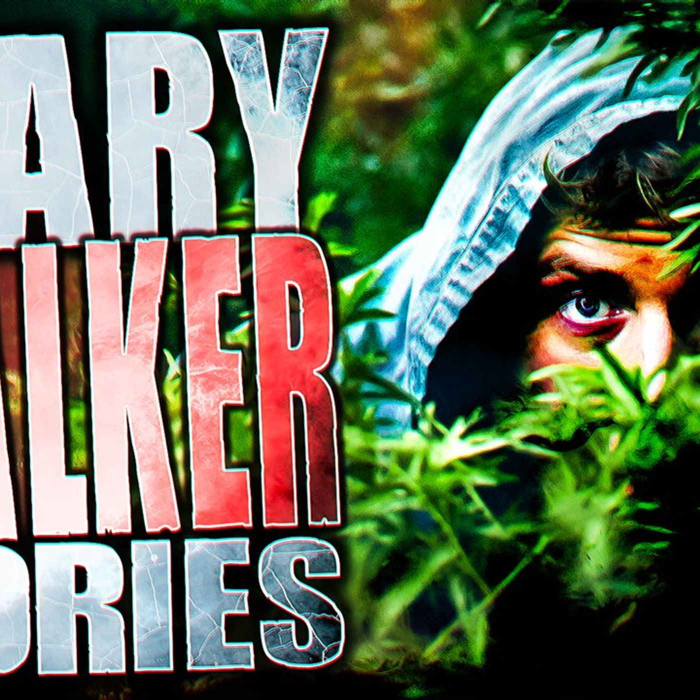 True Scary Stalker Horror Stories | Being Stalked and Followed episode artwork