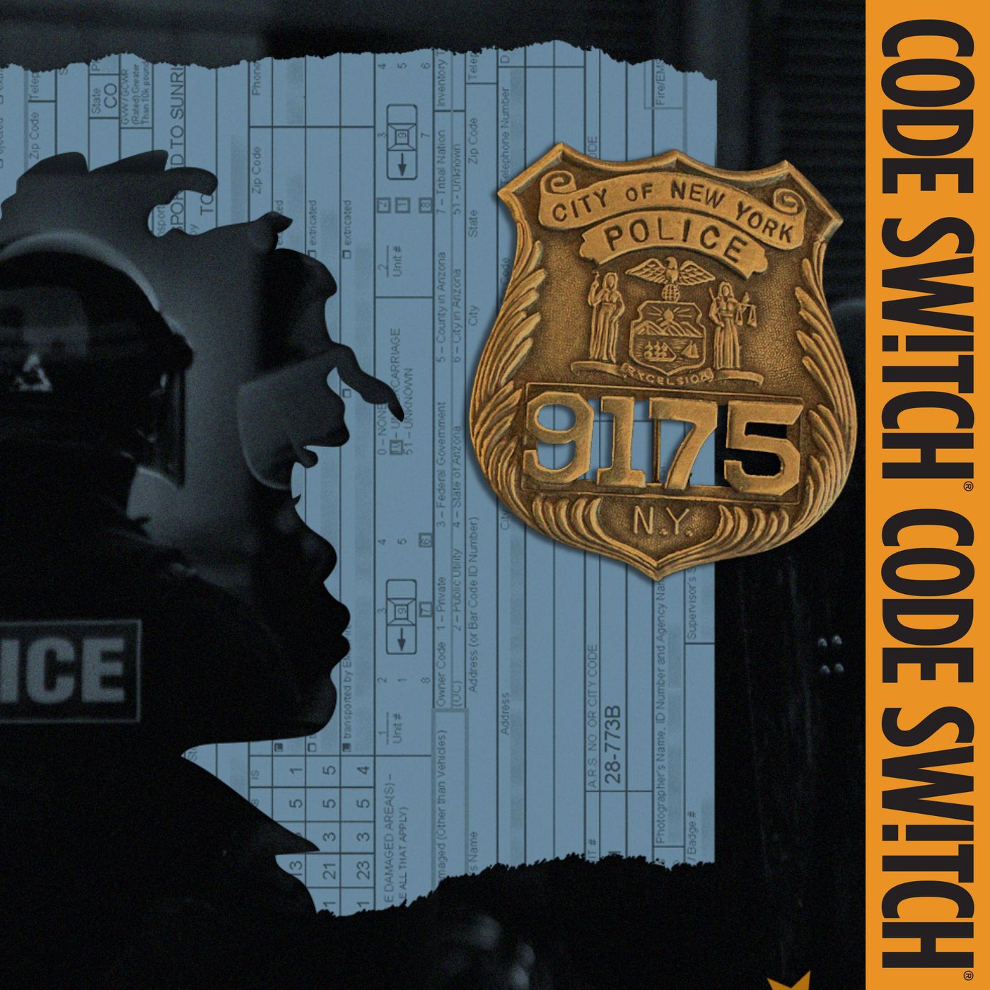 "The police are our friends"? episode artwork