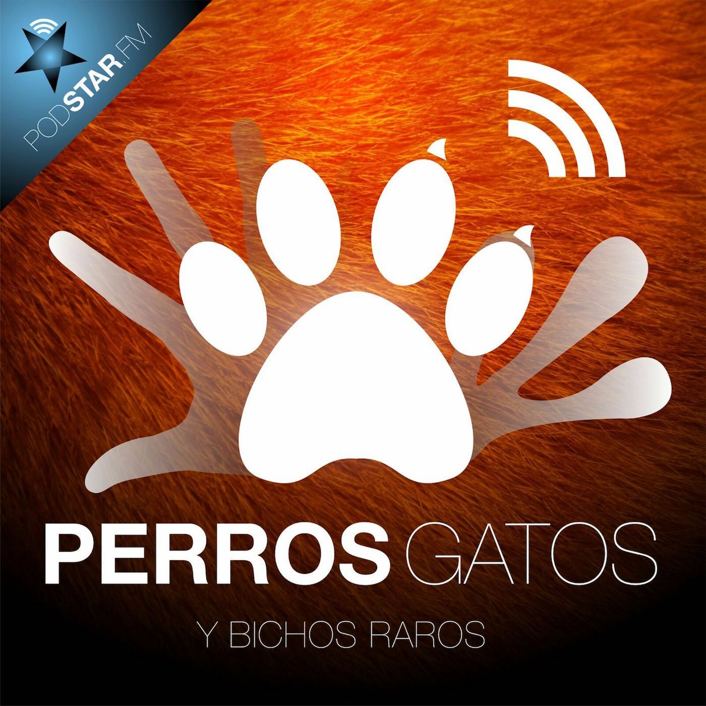 De Soundcloud antiguo