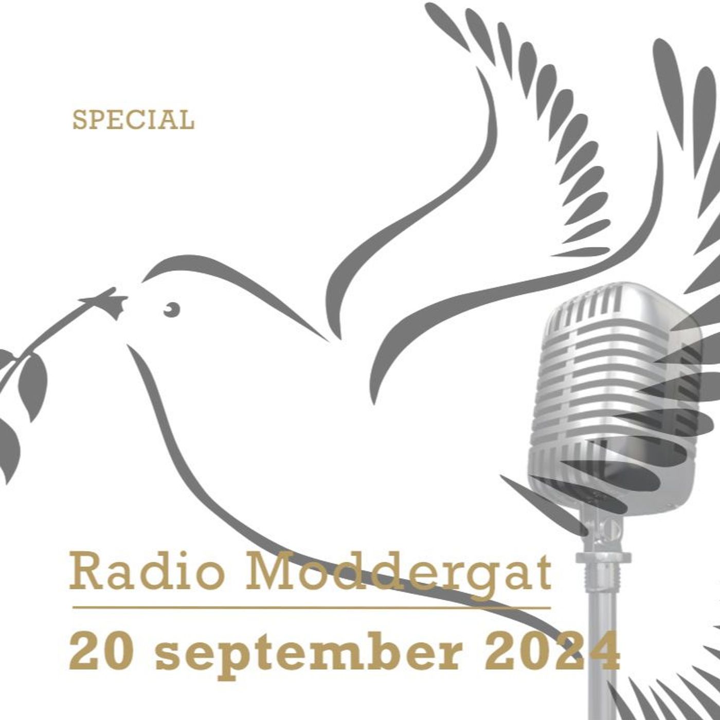 EZAZ radio moddergat