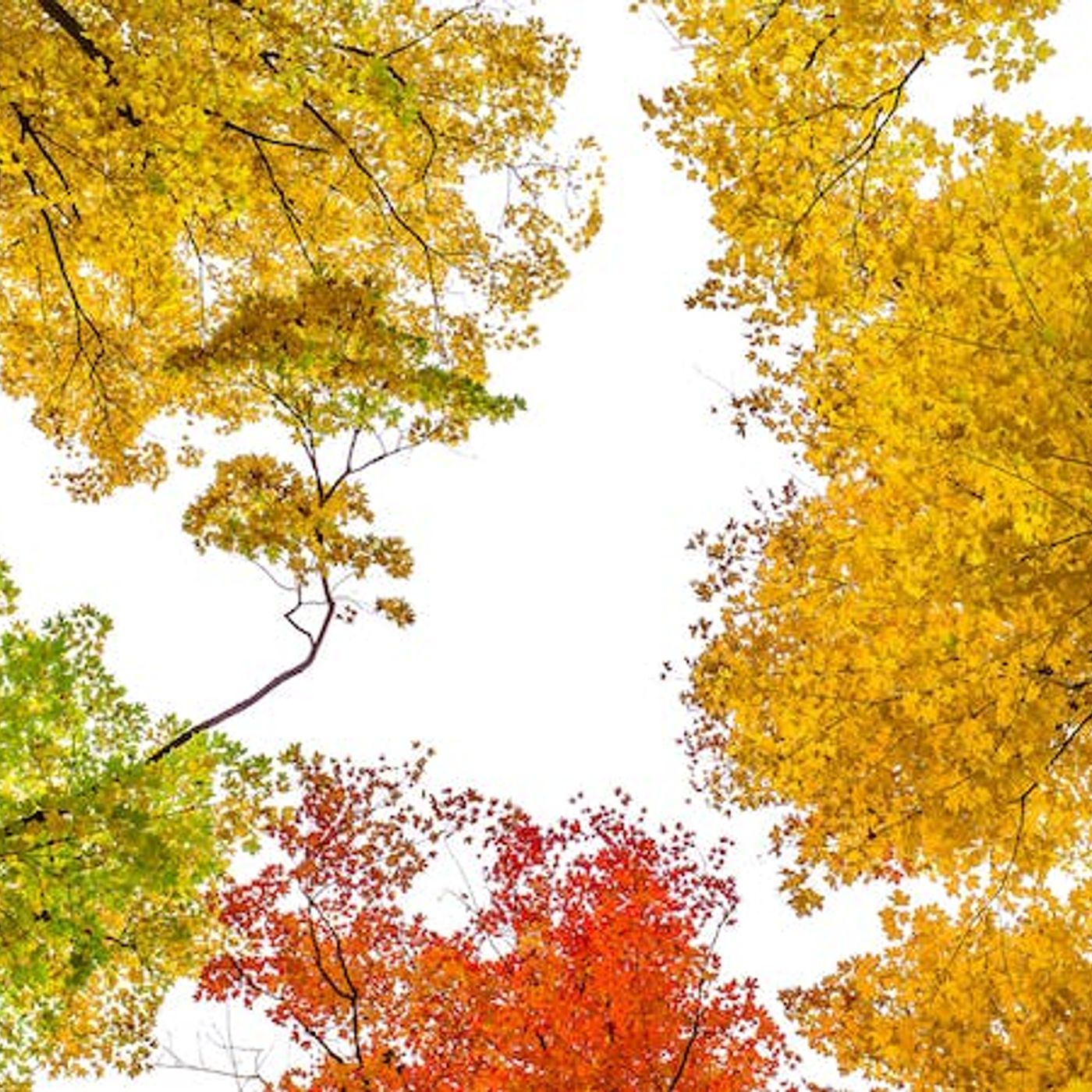 How Can We Know God?