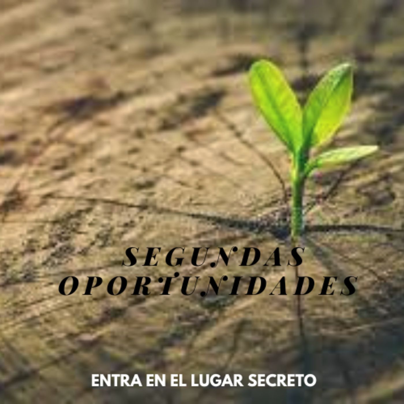ENTRA EN EL LUGAR SECRETO