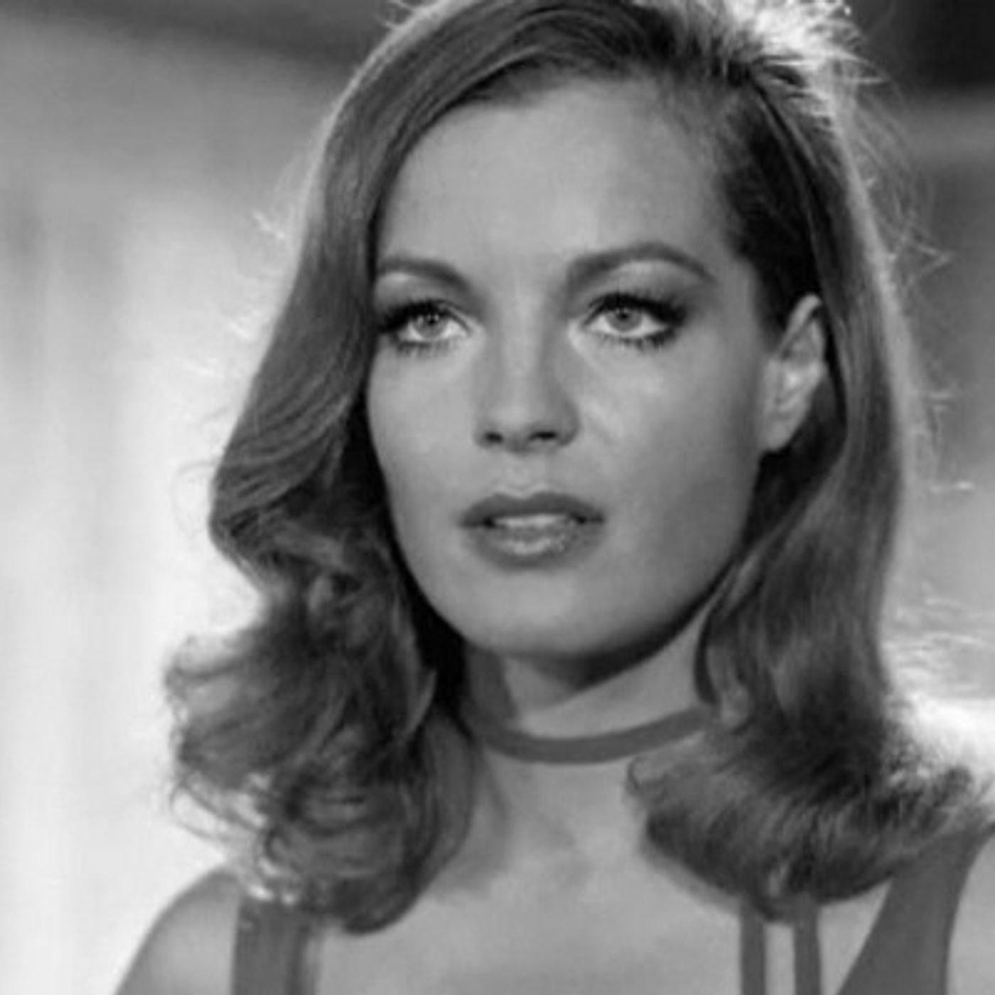 Tracce di Domenico Tota