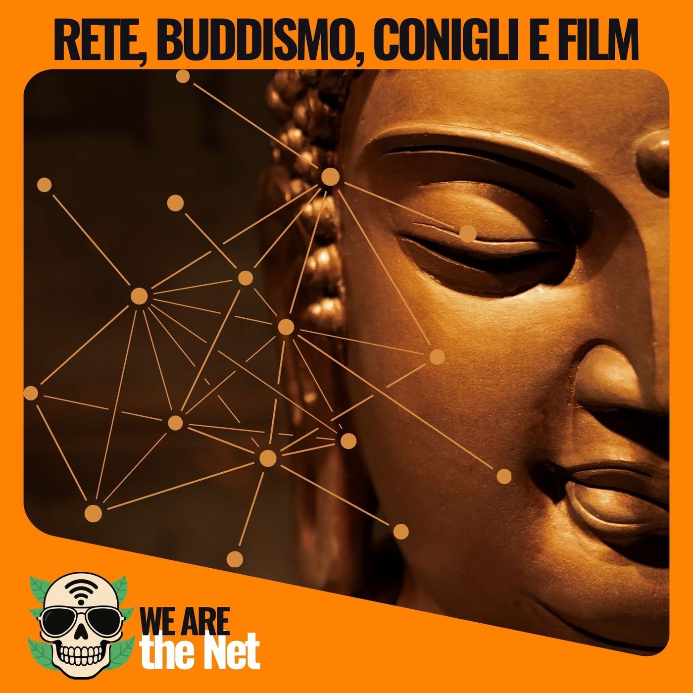 La rete di Indra