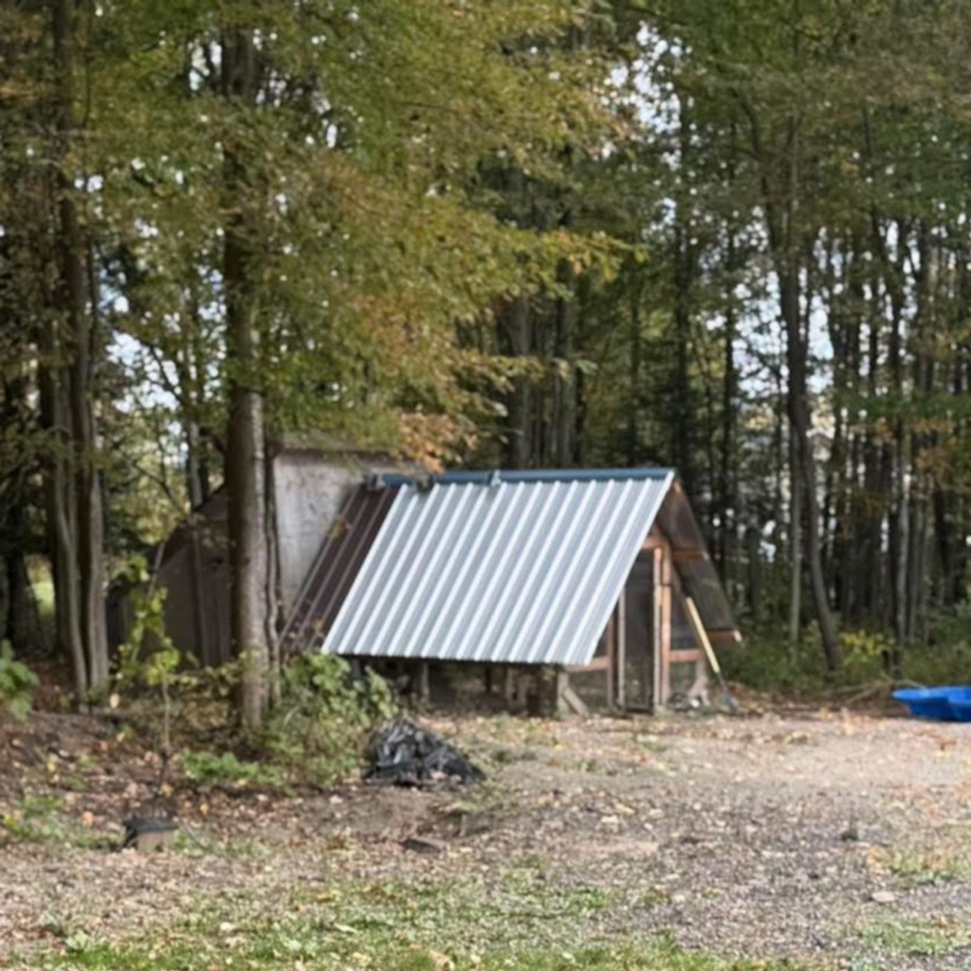 Stories With Sadie And Clay